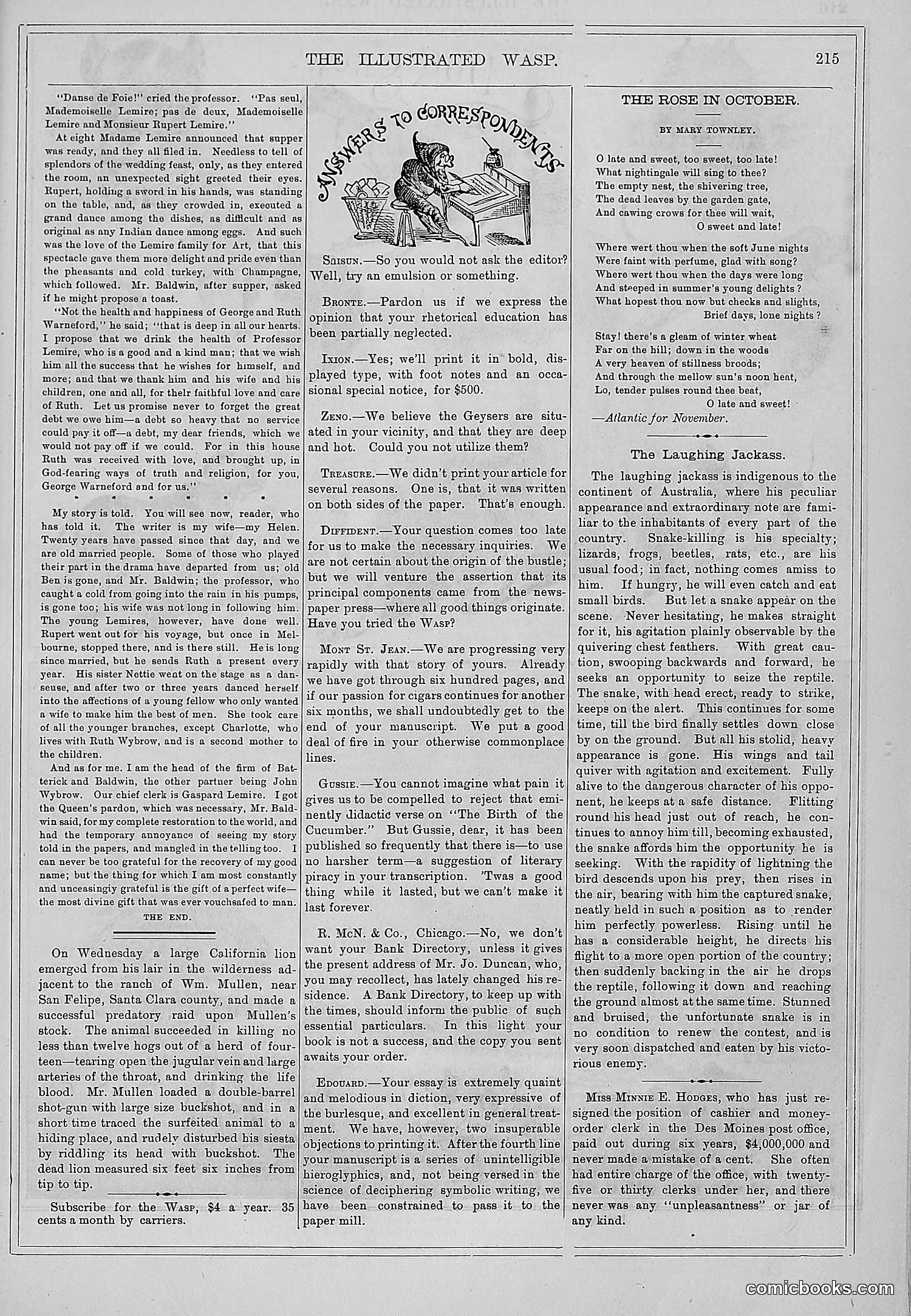 The Wasp — 1877 — page 224 of 372