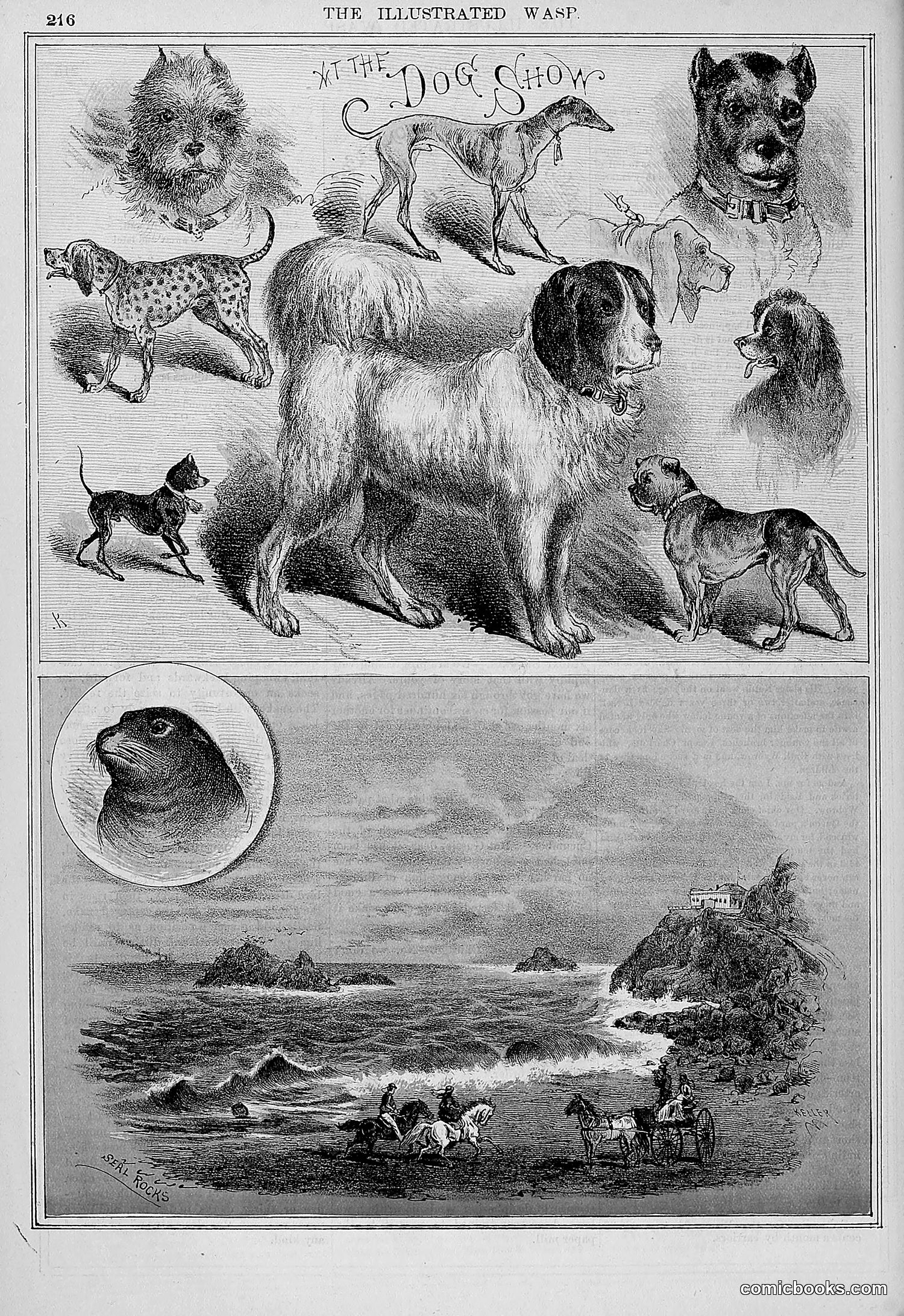 The Wasp — 1877 — page 225 of 372