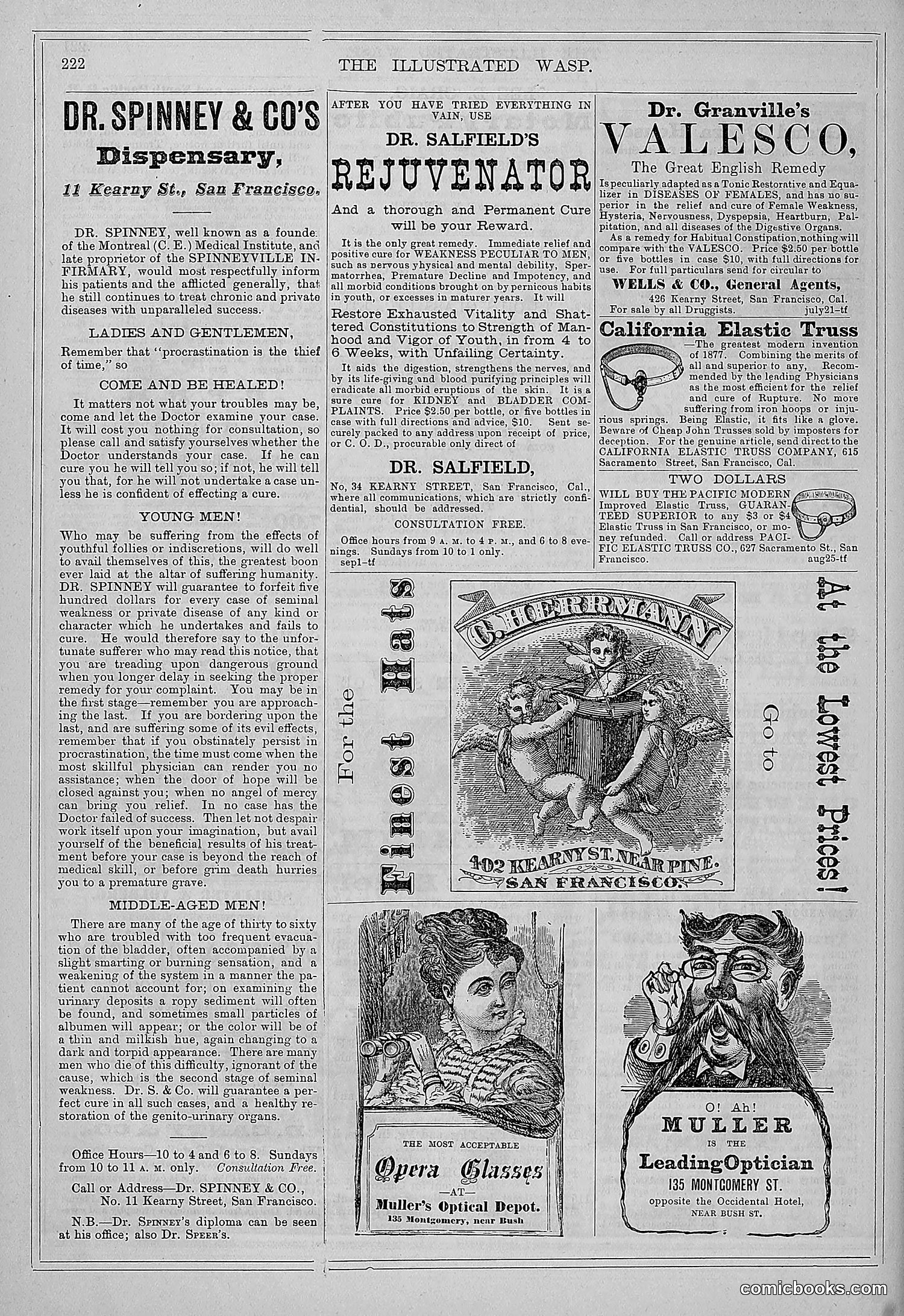 The Wasp — 1877 — page 231 of 372