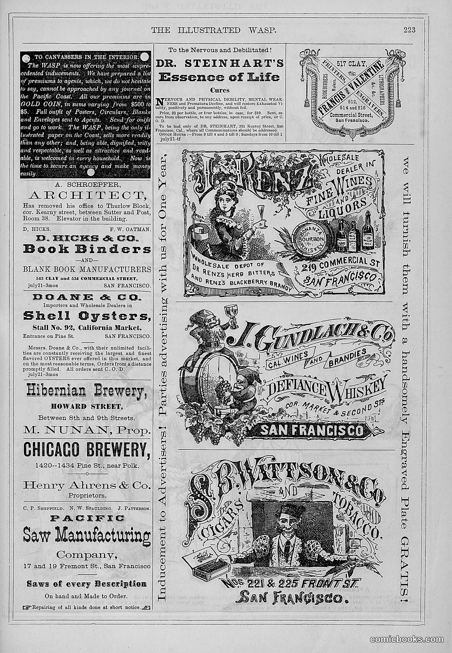 The Wasp — 1877 — page 232 of 372