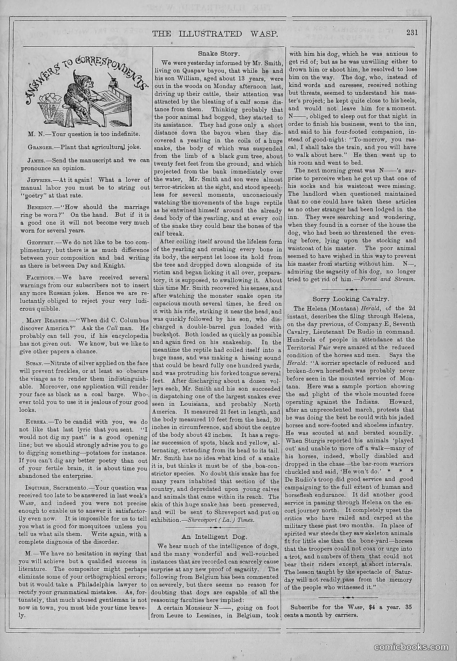 The Wasp — 1877 — page 240 of 372