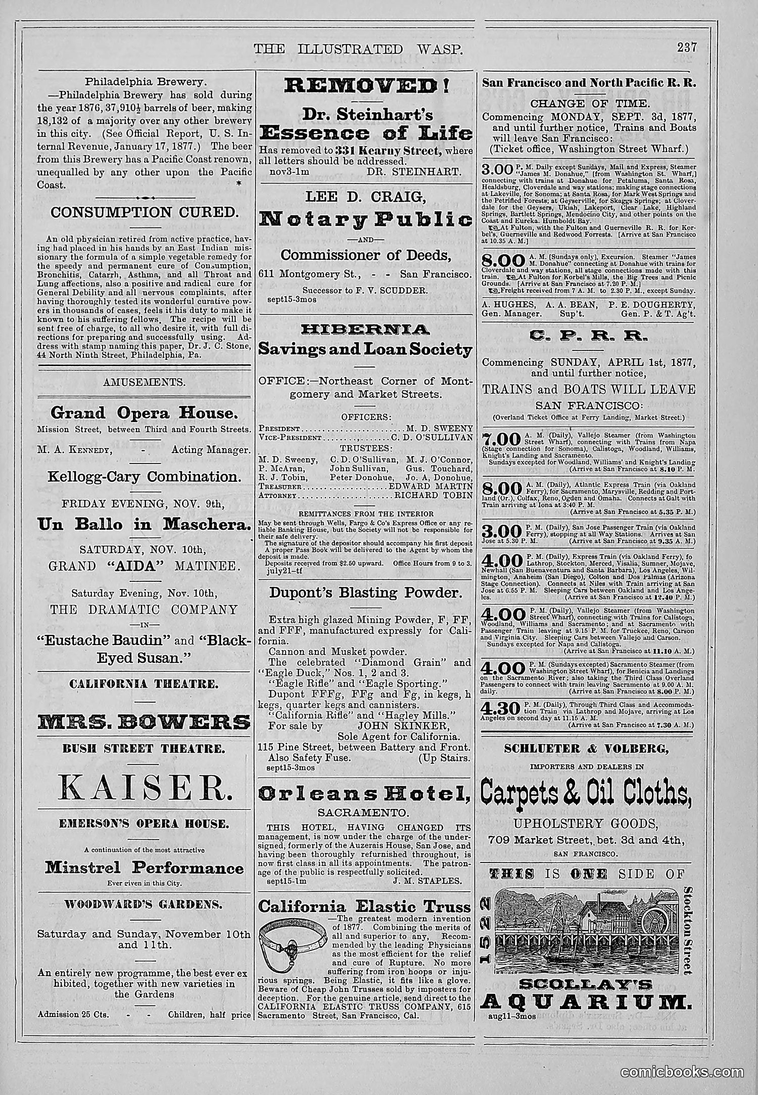 The Wasp — 1877 — page 246 of 372