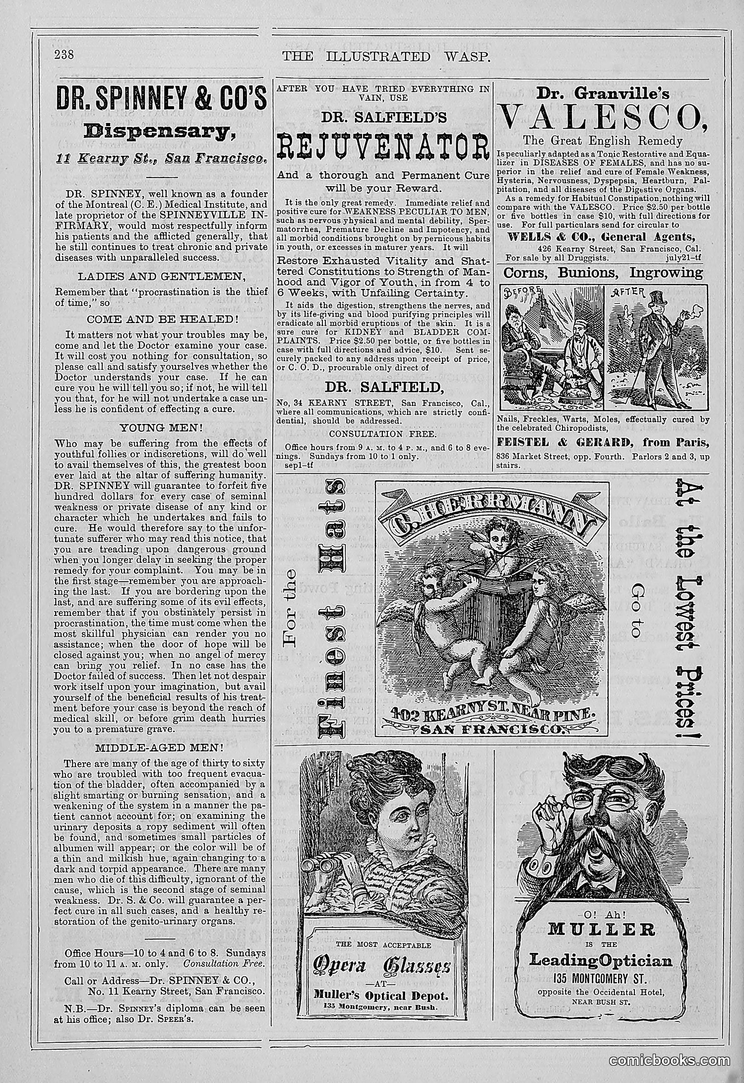 The Wasp — 1877 — page 247 of 372