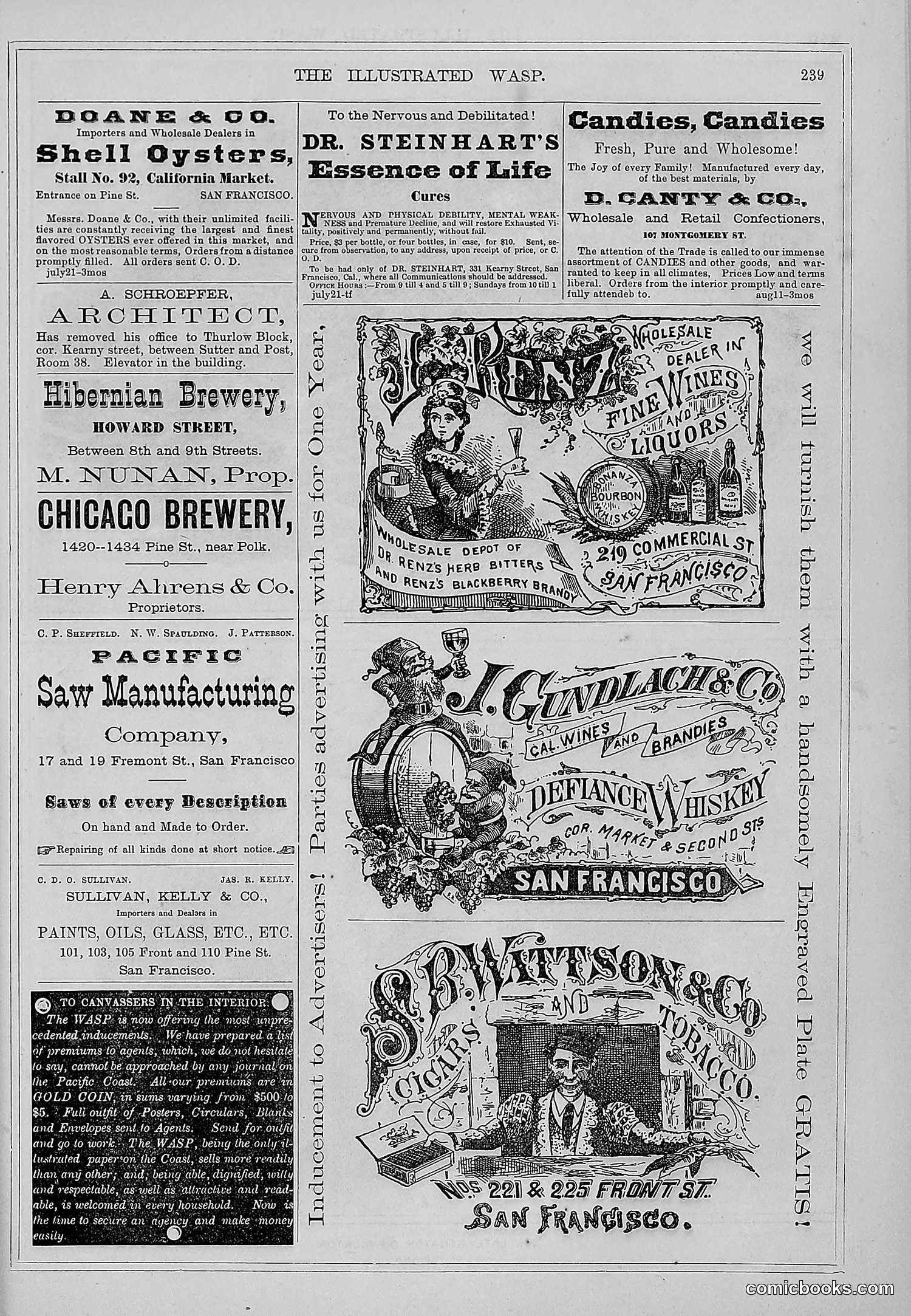 The Wasp — 1877 — page 248 of 372