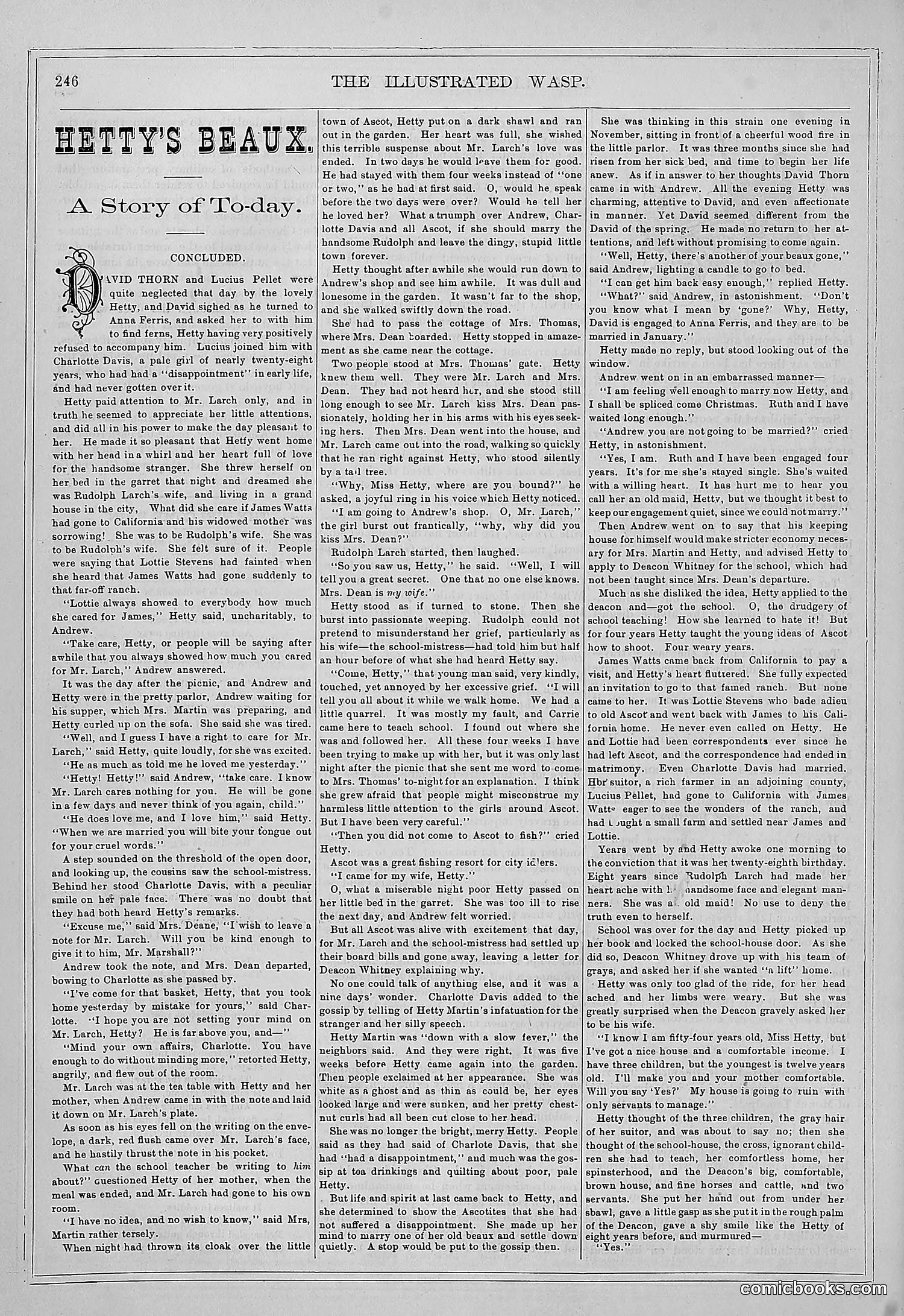 The Wasp — 1877 — page 255 of 372