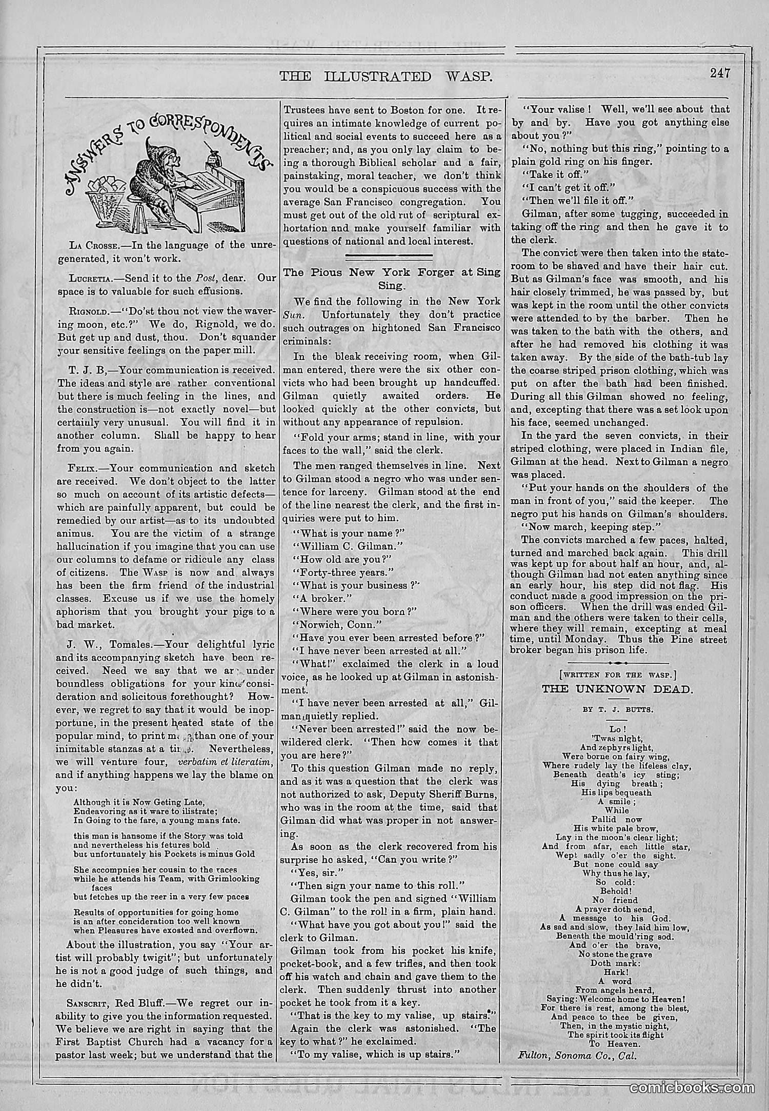 The Wasp — 1877 — page 256 of 372