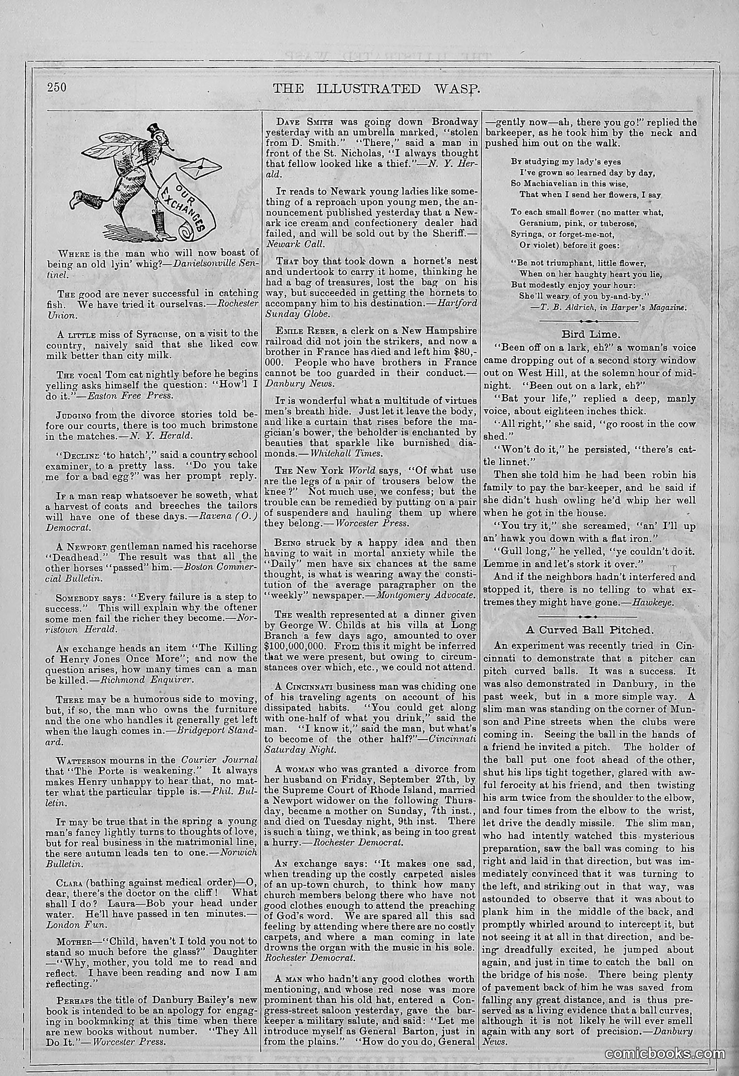 The Wasp — 1877 — page 259 of 372