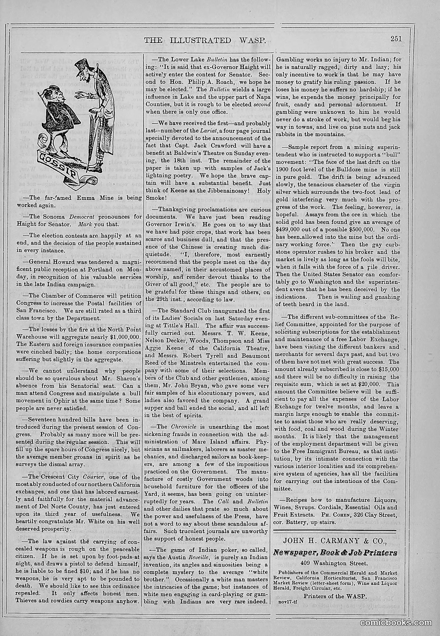 The Wasp — 1877 — page 260 of 372