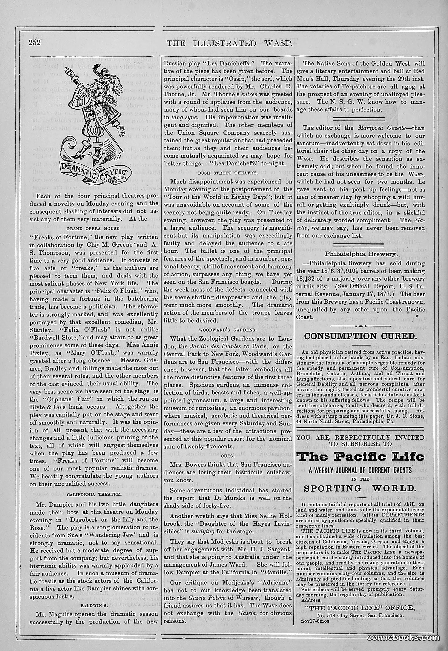 The Wasp — 1877 — page 261 of 372