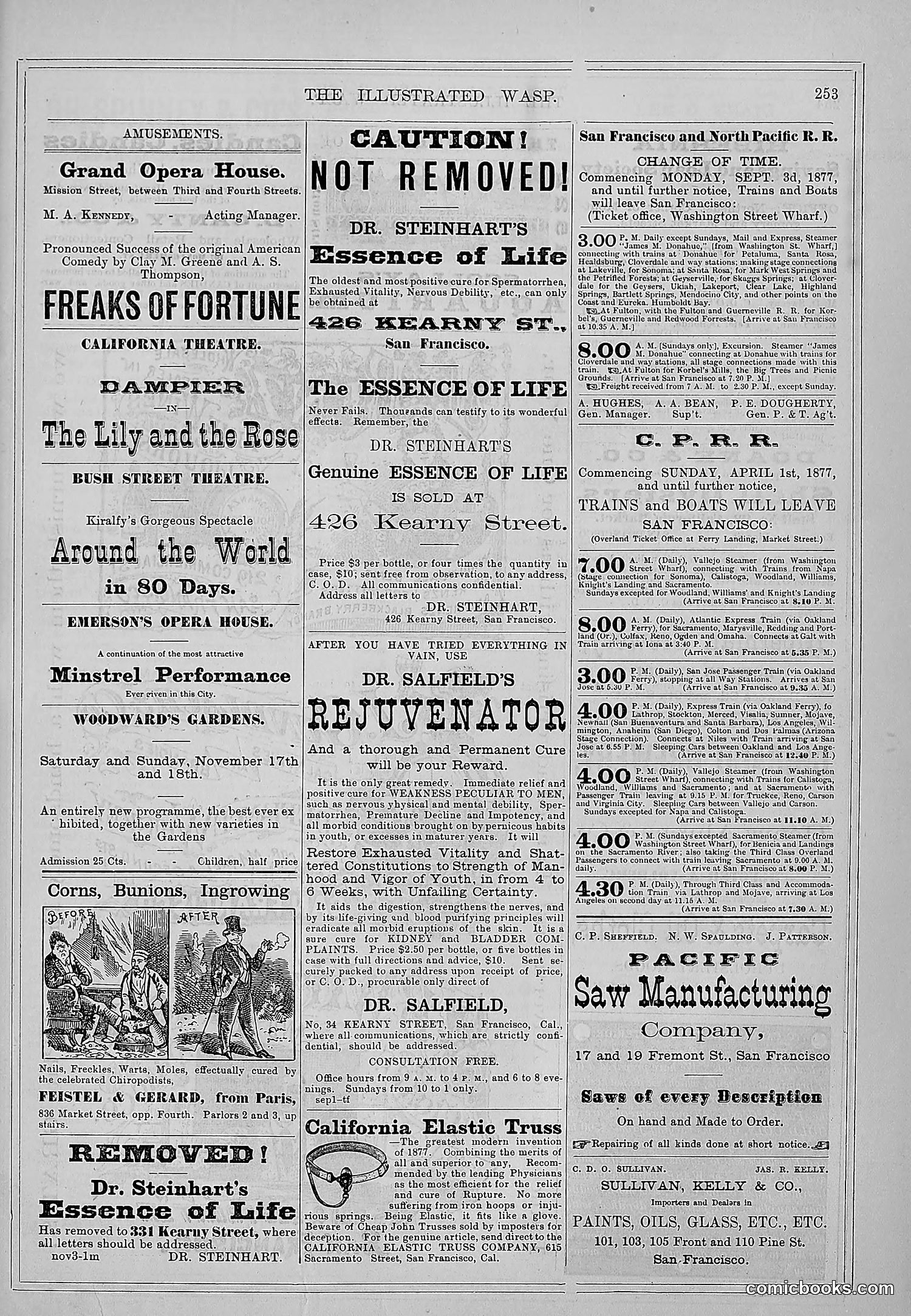 The Wasp — 1877 — page 262 of 372