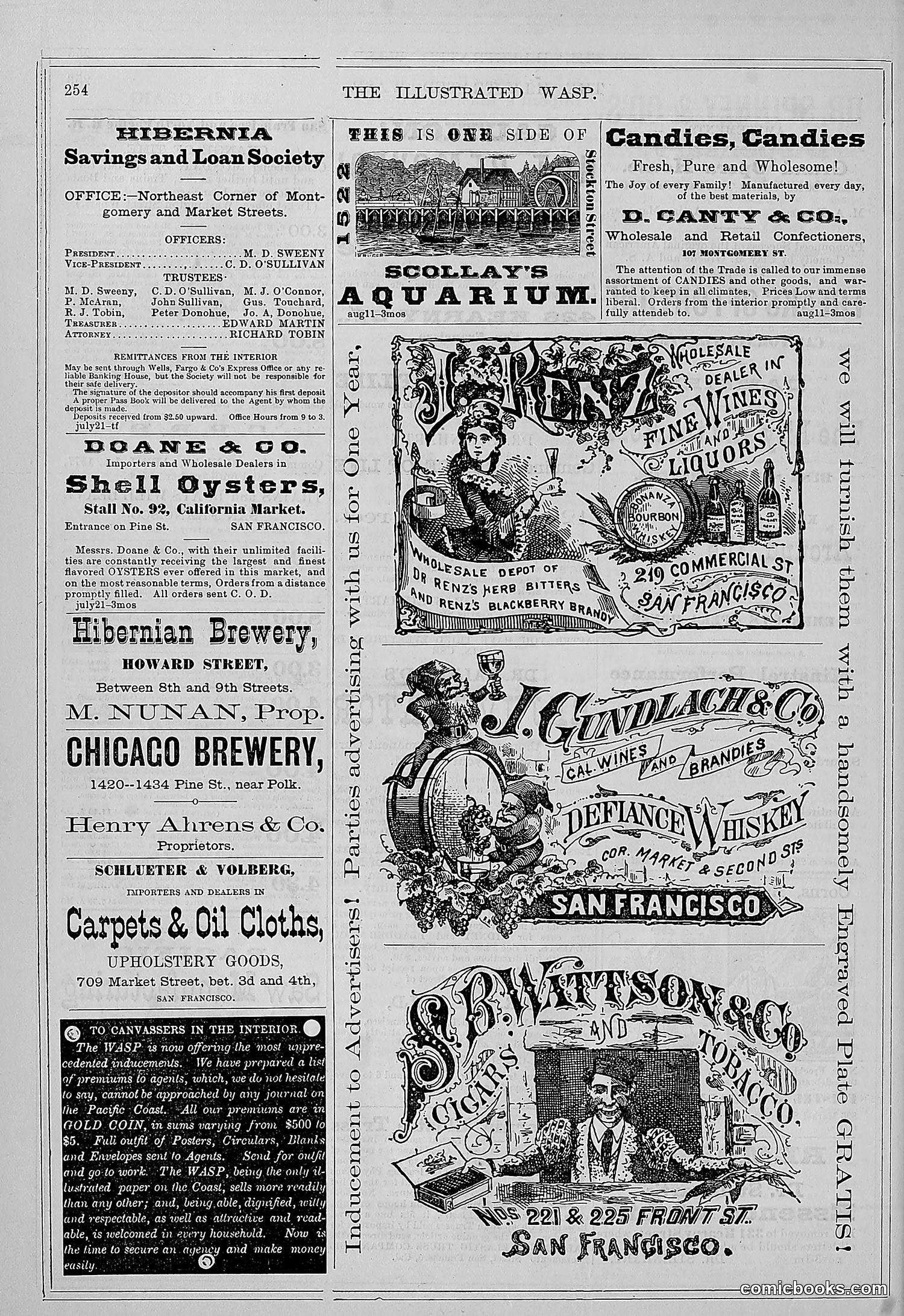 The Wasp — 1877 — page 263 of 372