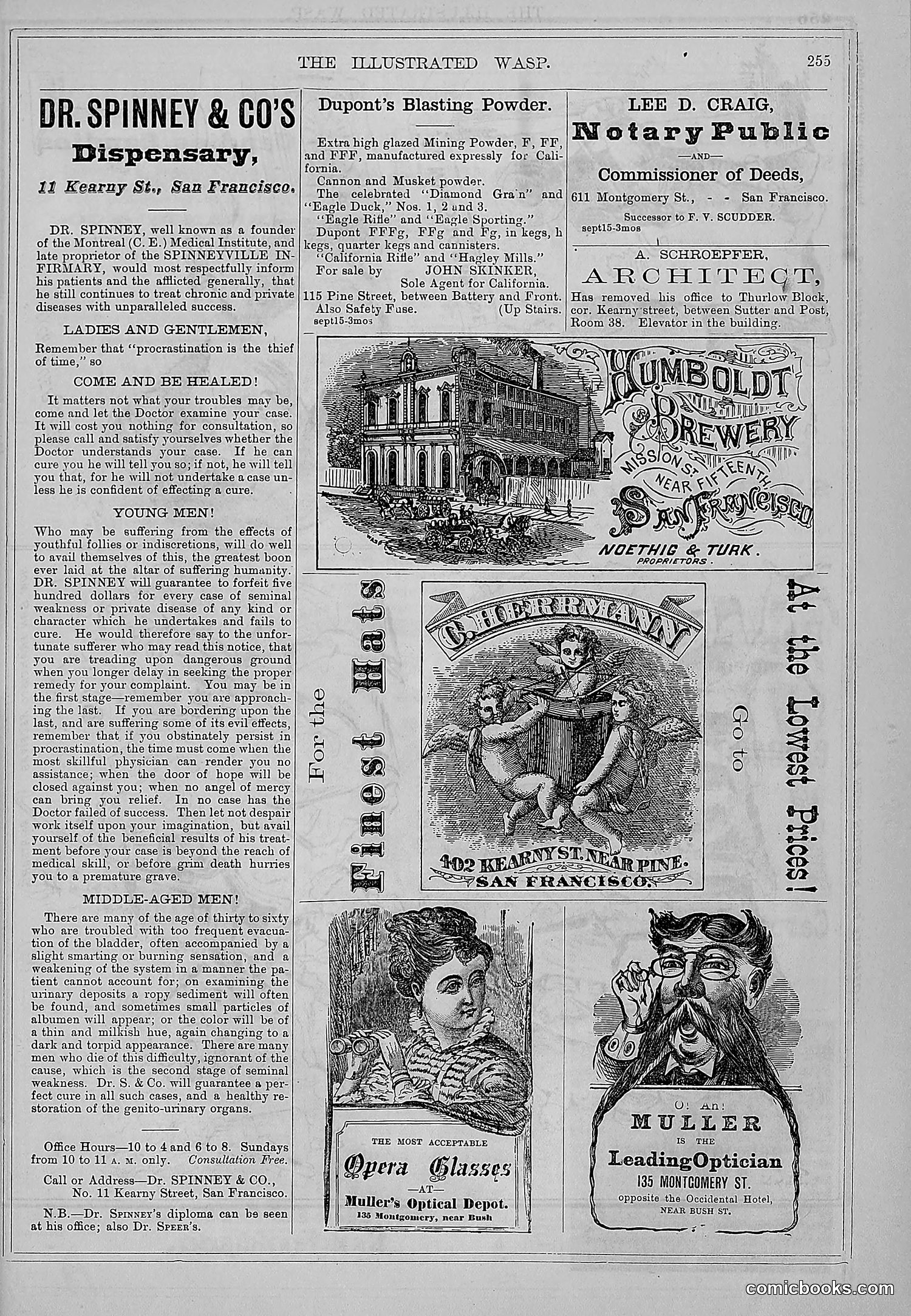 The Wasp — 1877 — page 264 of 372