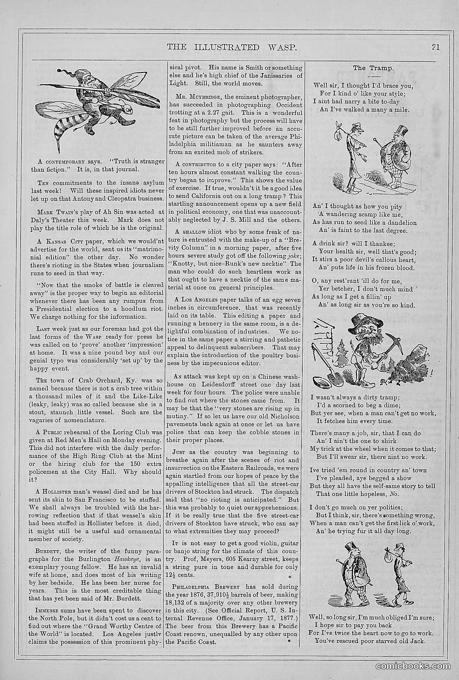 The Wasp — 1877 — page 28 of 372