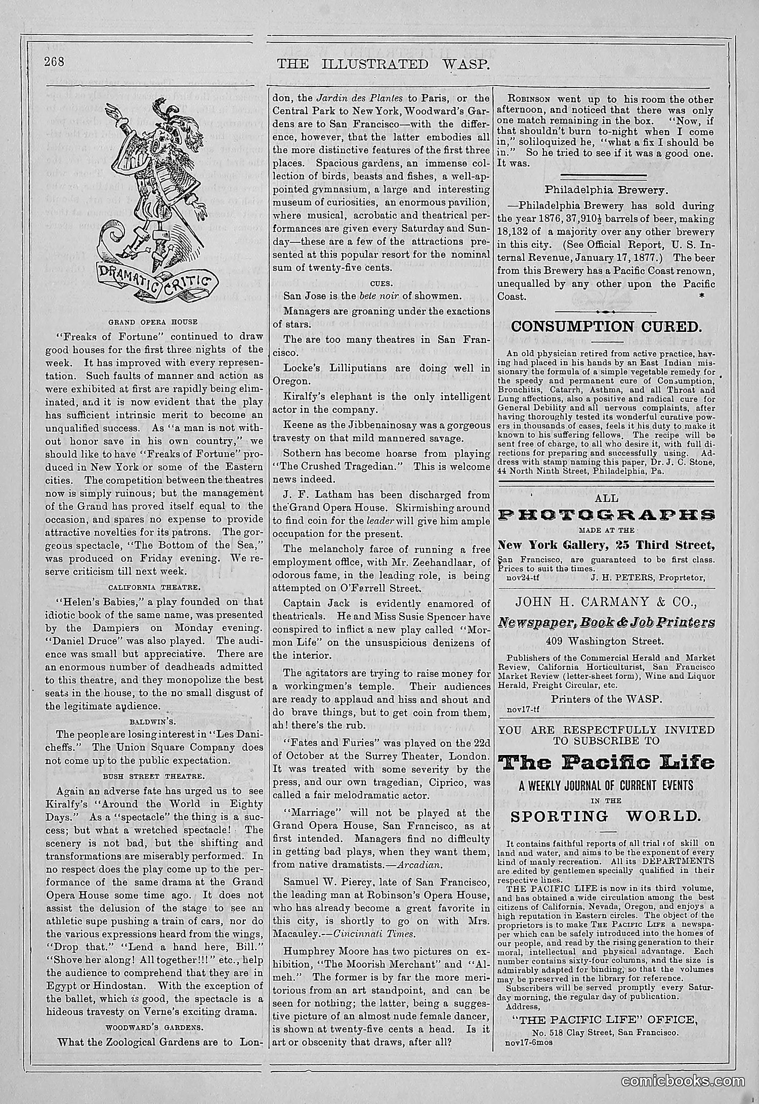 The Wasp — 1877 — page 277 of 372
