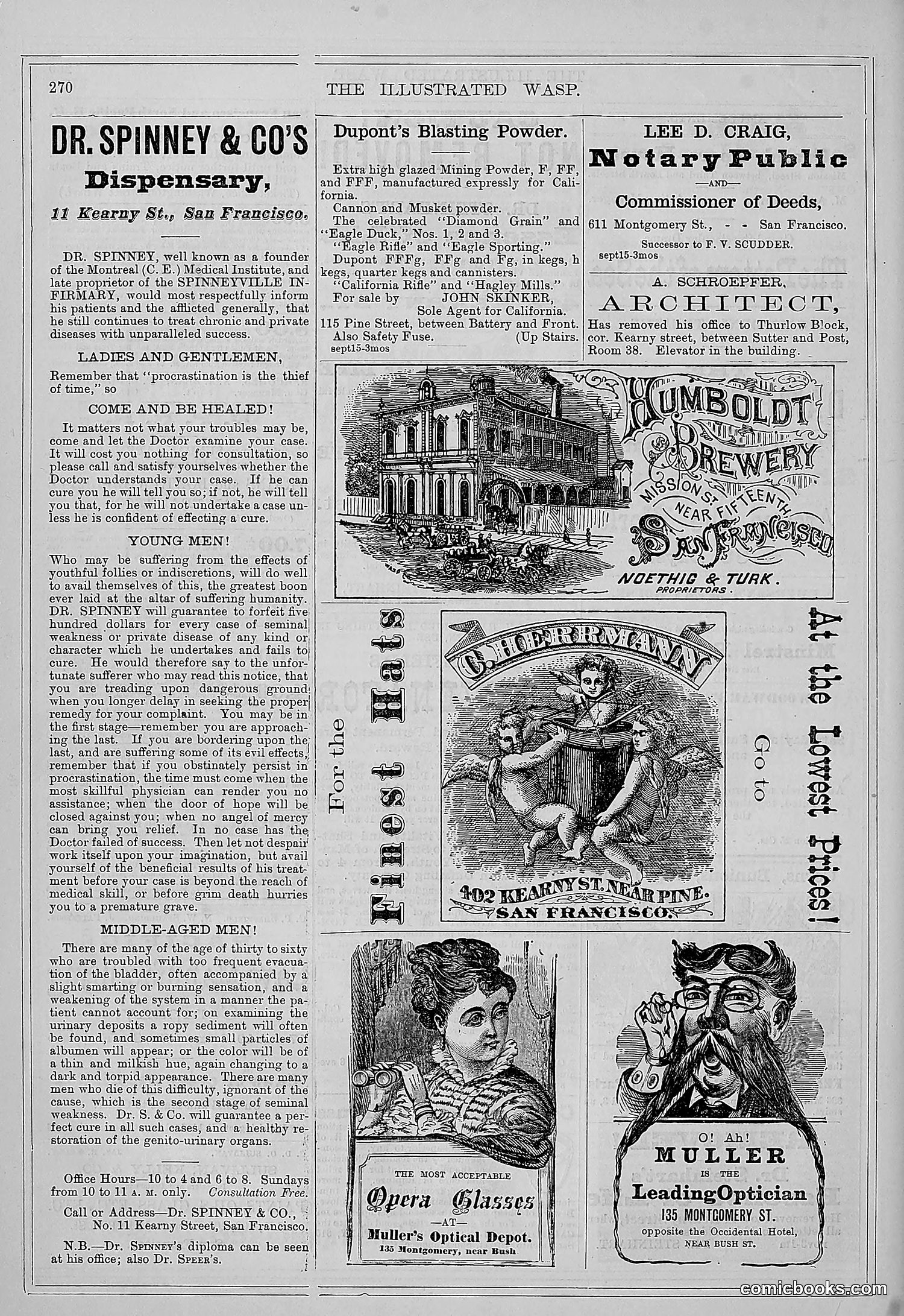 The Wasp — 1877 — page 279 of 372