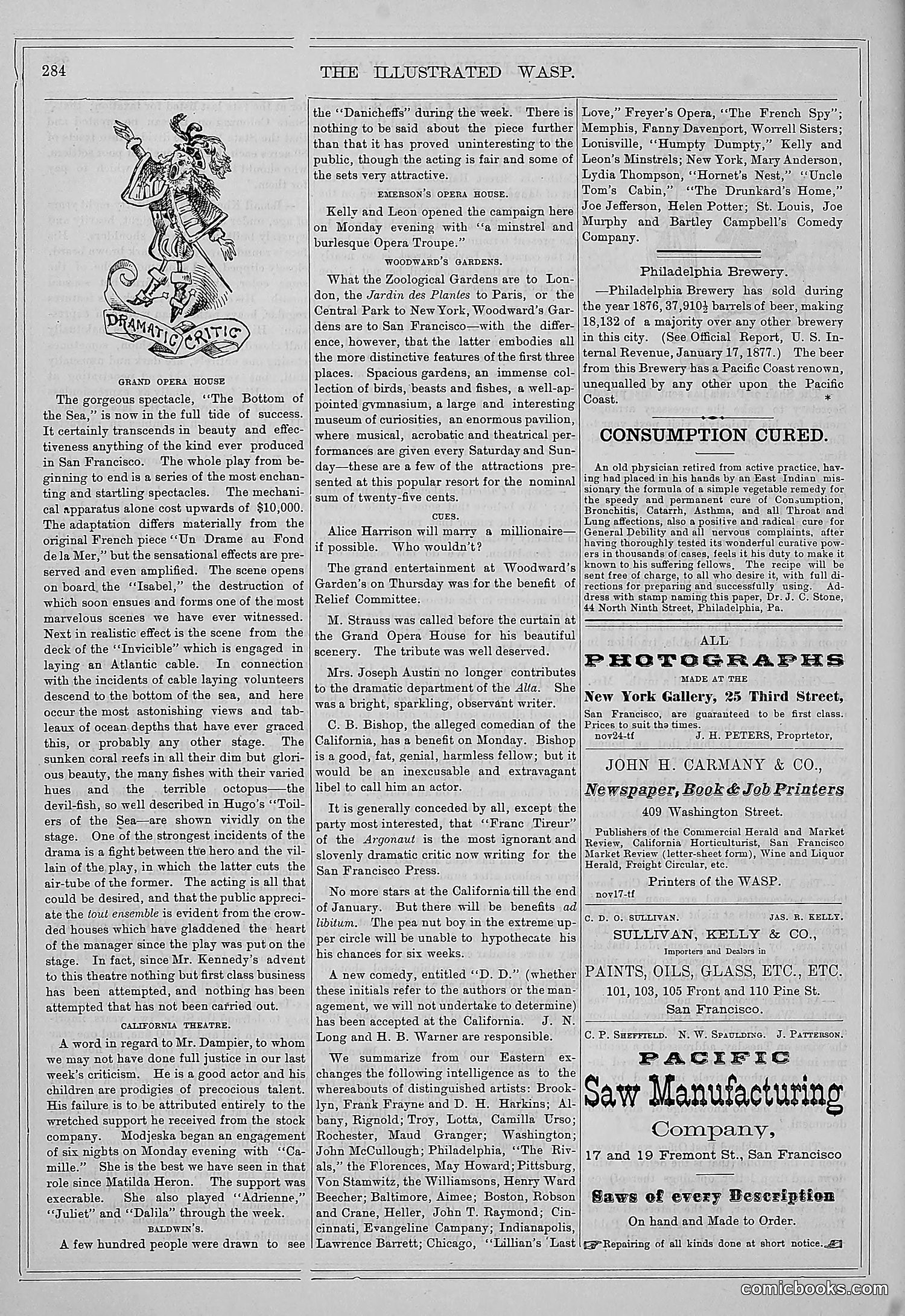 The Wasp — 1877 — page 297 of 372
