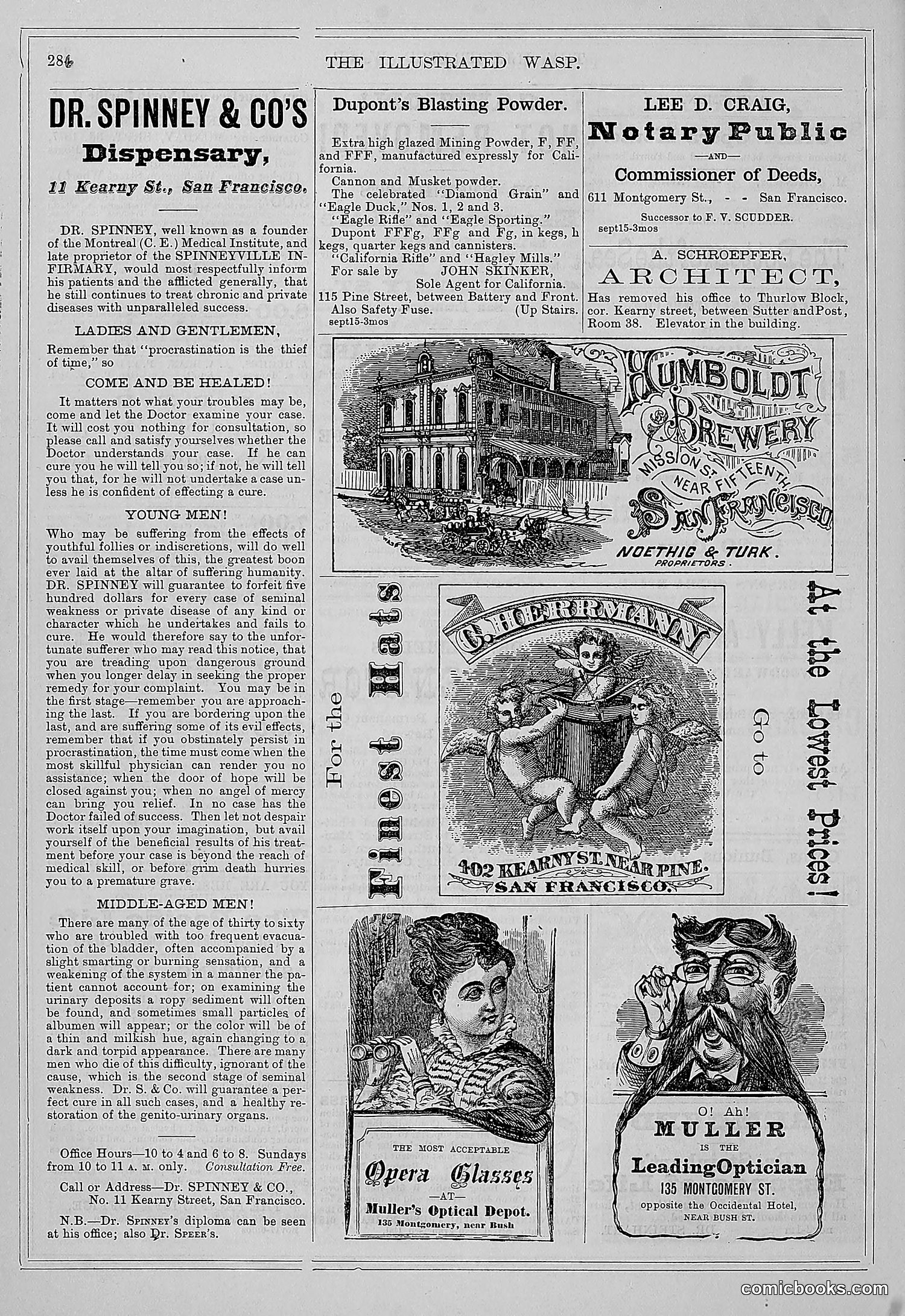 The Wasp — 1877 — page 299 of 372