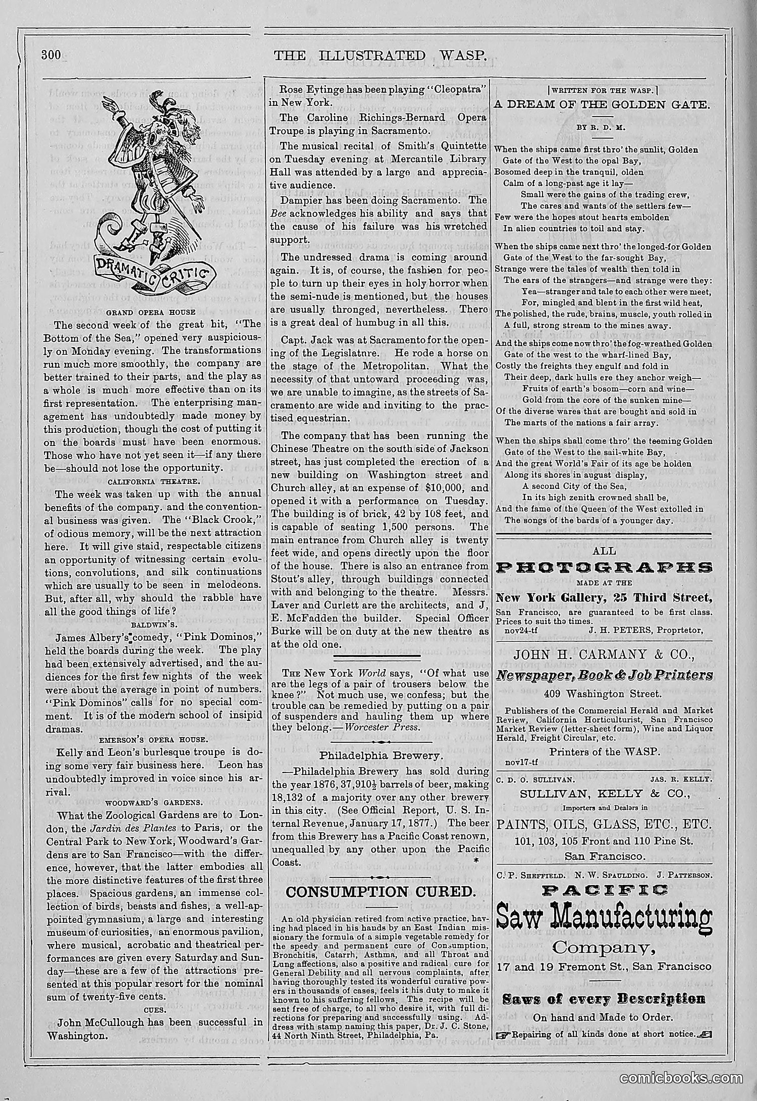 The Wasp — 1877 — page 313 of 372