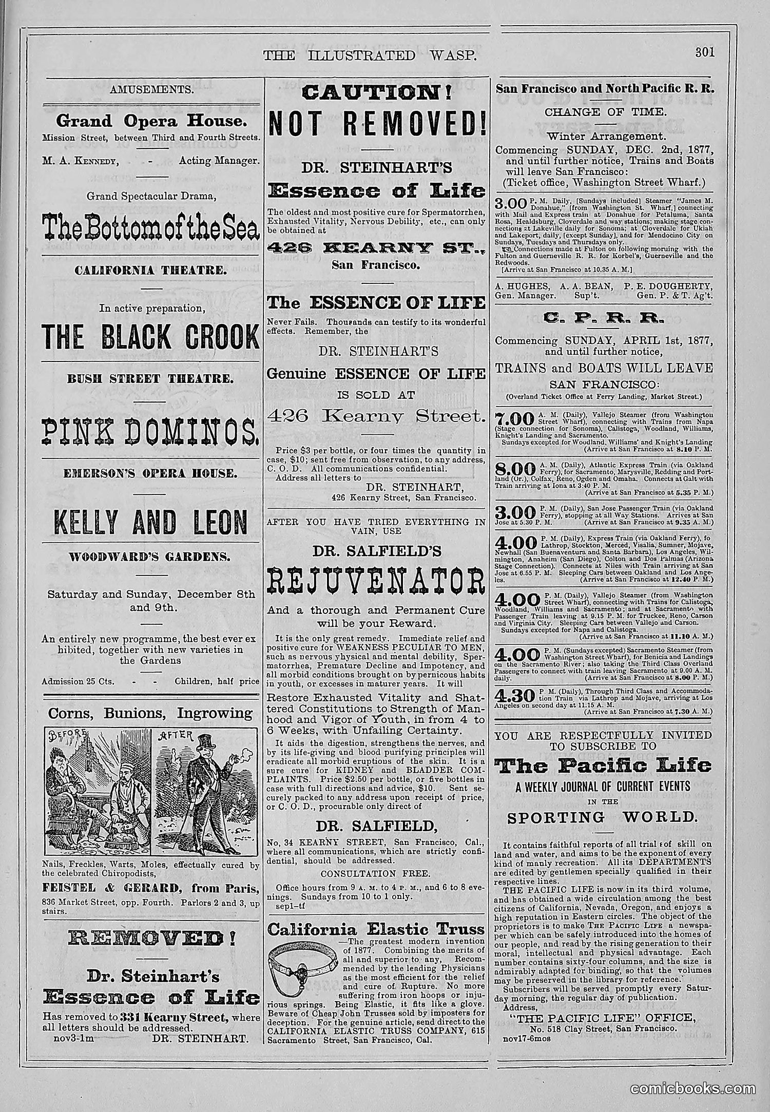 The Wasp — 1877 — page 314 of 372