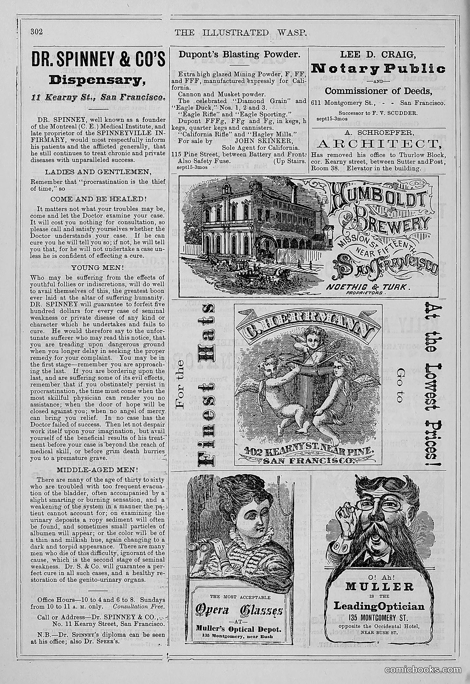 The Wasp — 1877 — page 315 of 372