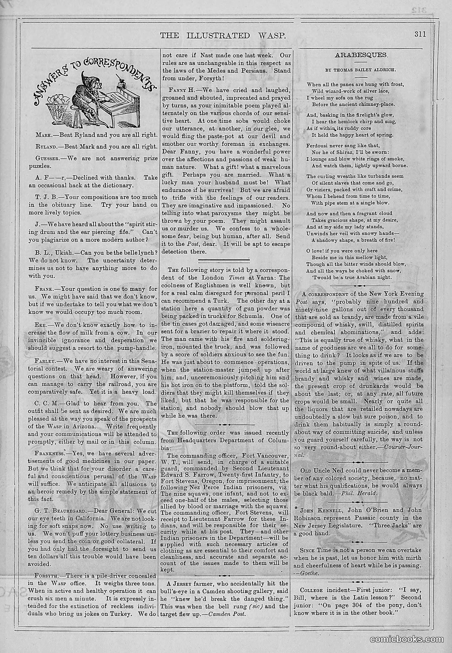 The Wasp — 1877 — page 324 of 372