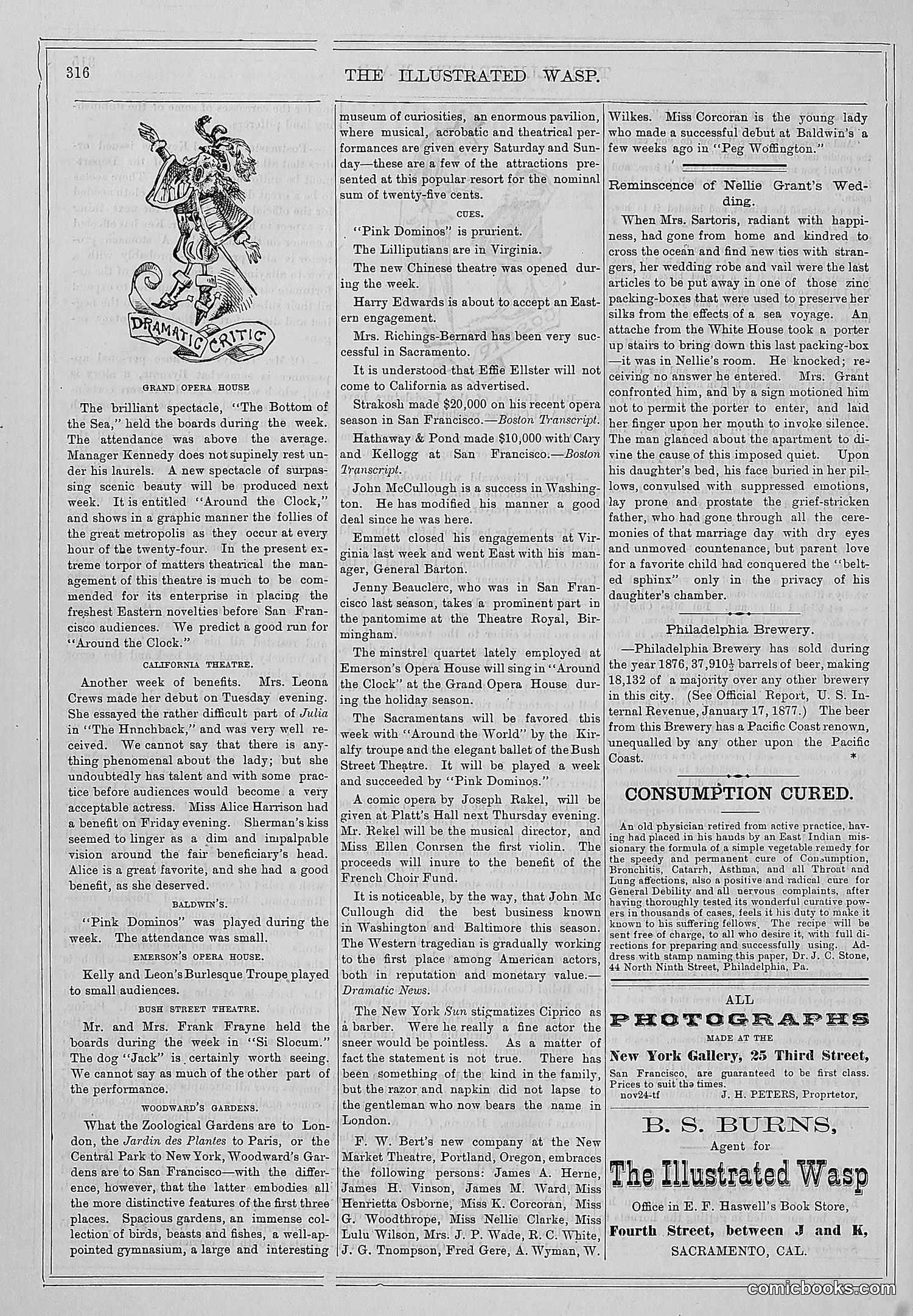 The Wasp — 1877 — page 329 of 372