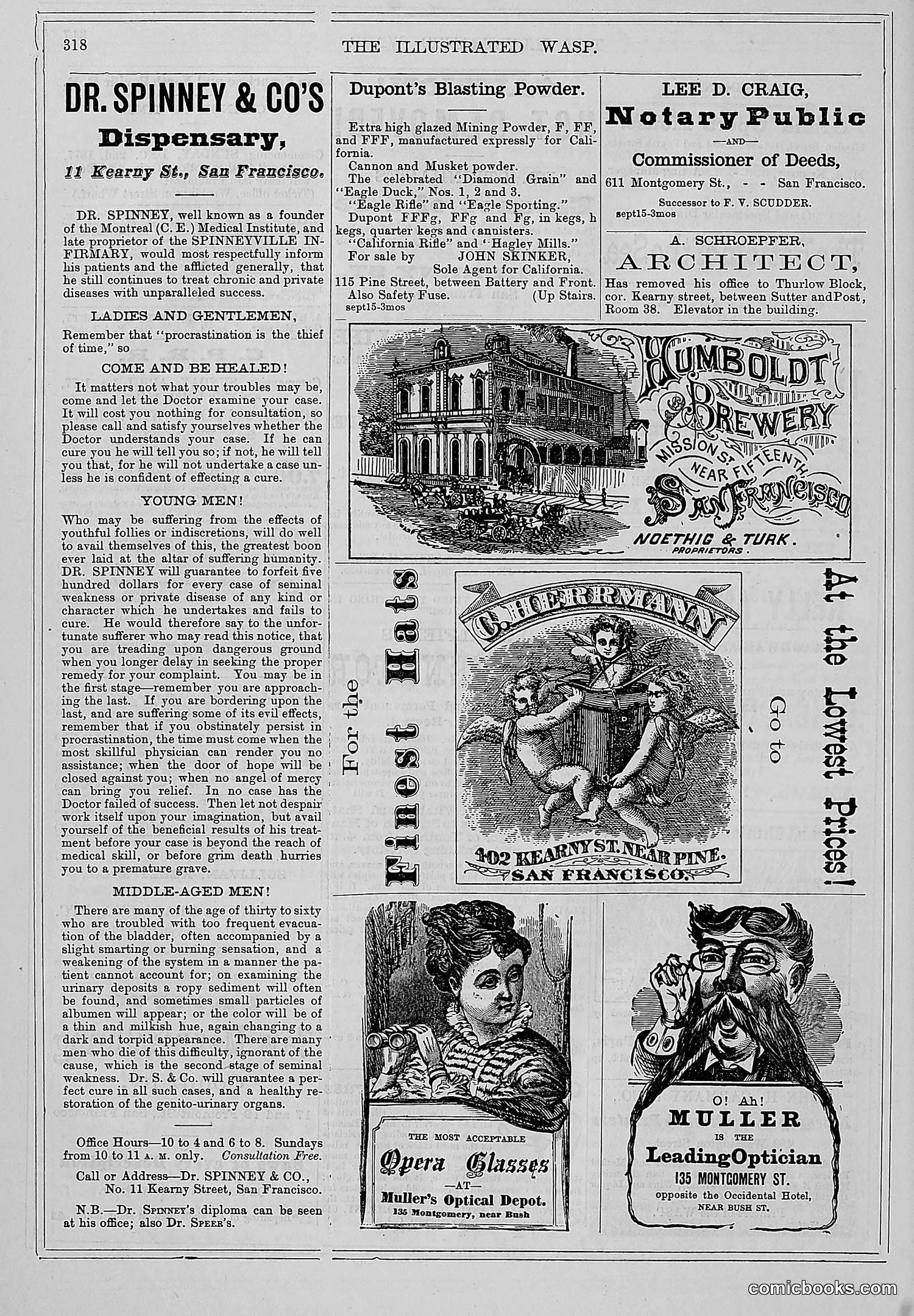 The Wasp — 1877 — page 331 of 372