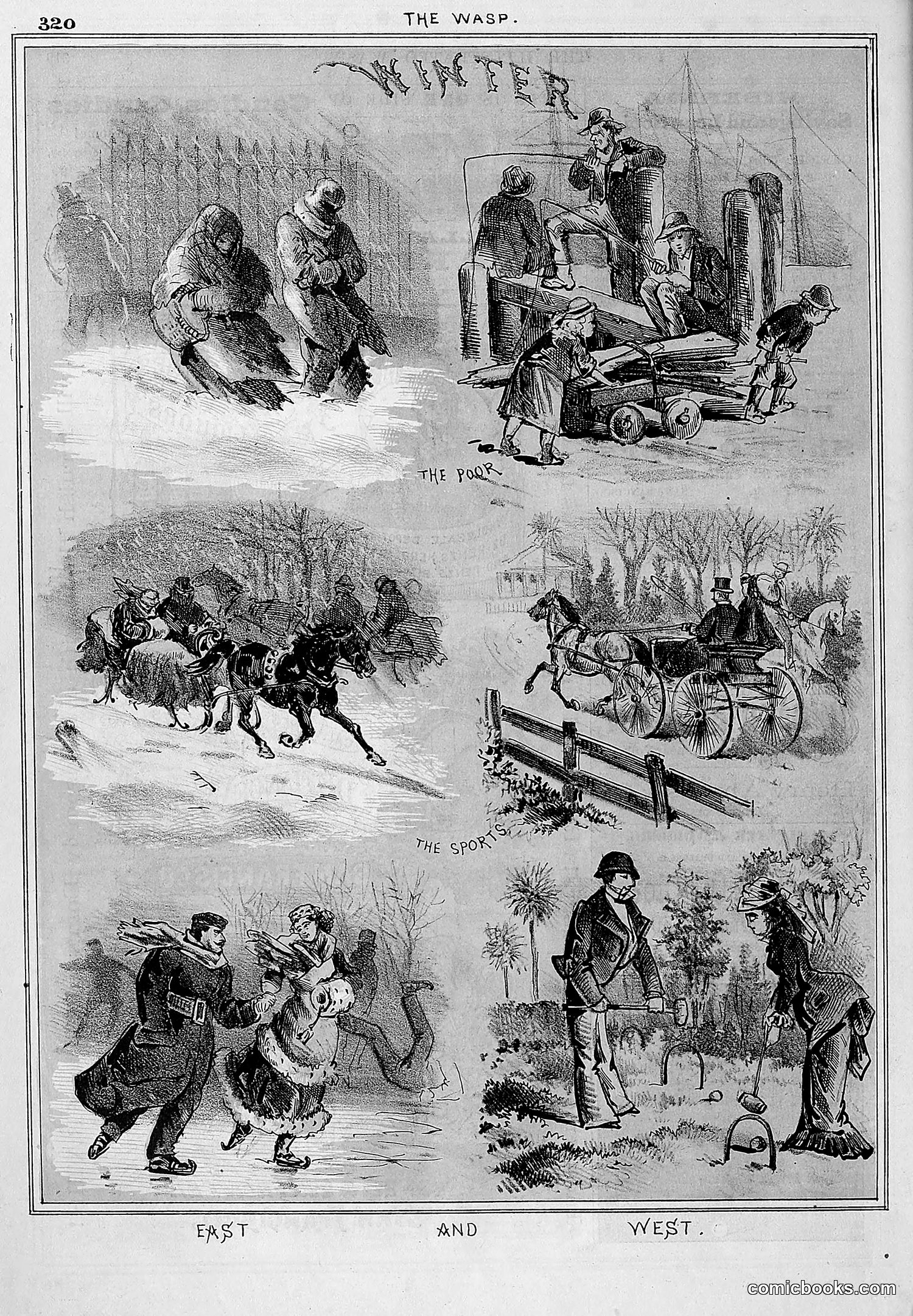 The Wasp — 1877 — page 333 of 372
