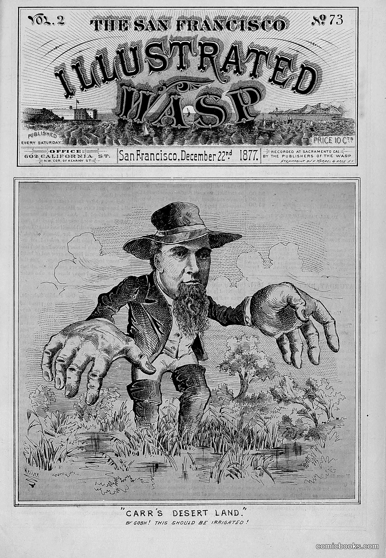 The Wasp — 1877 — page 334 of 372