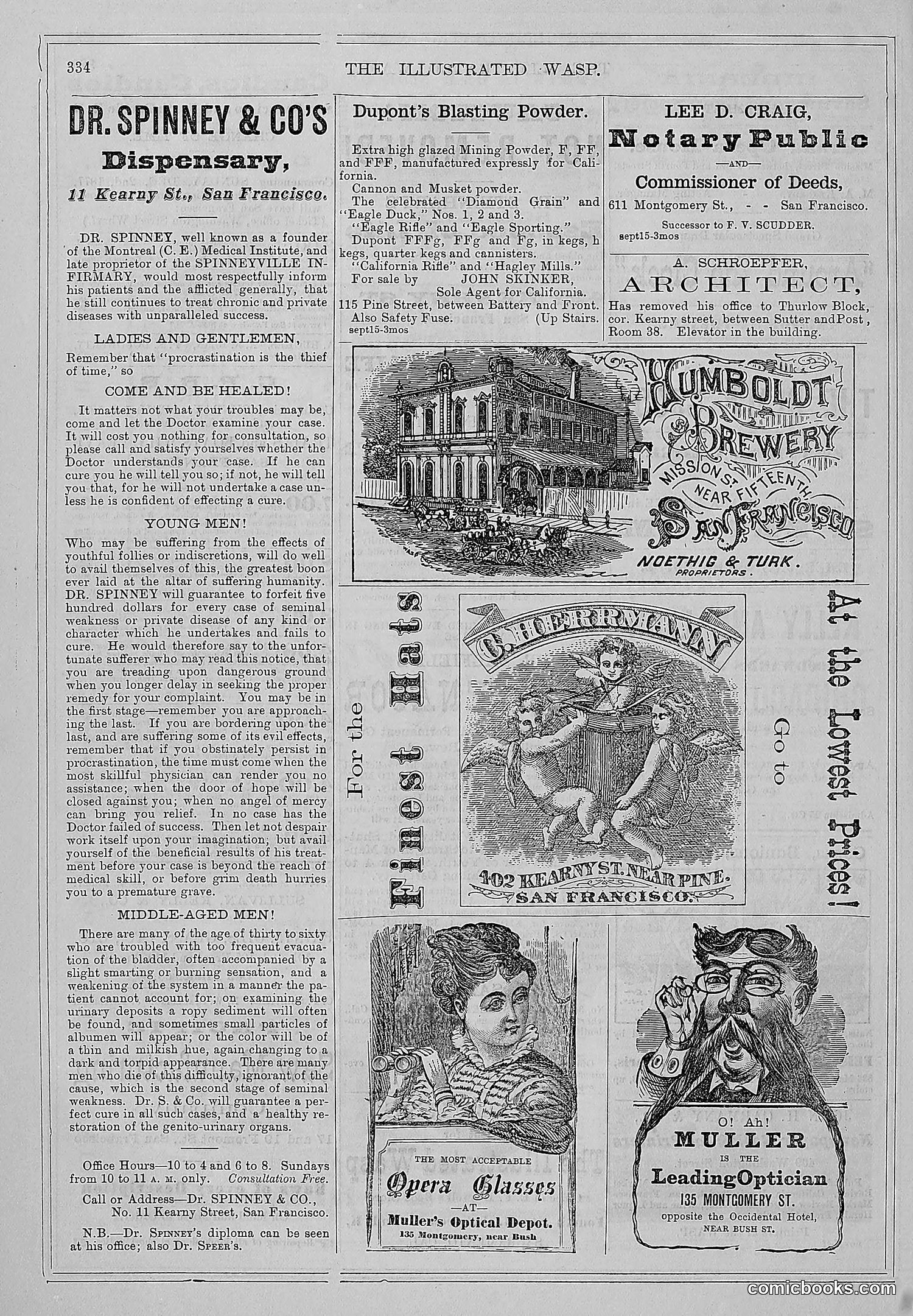 The Wasp — 1877 — page 347 of 372