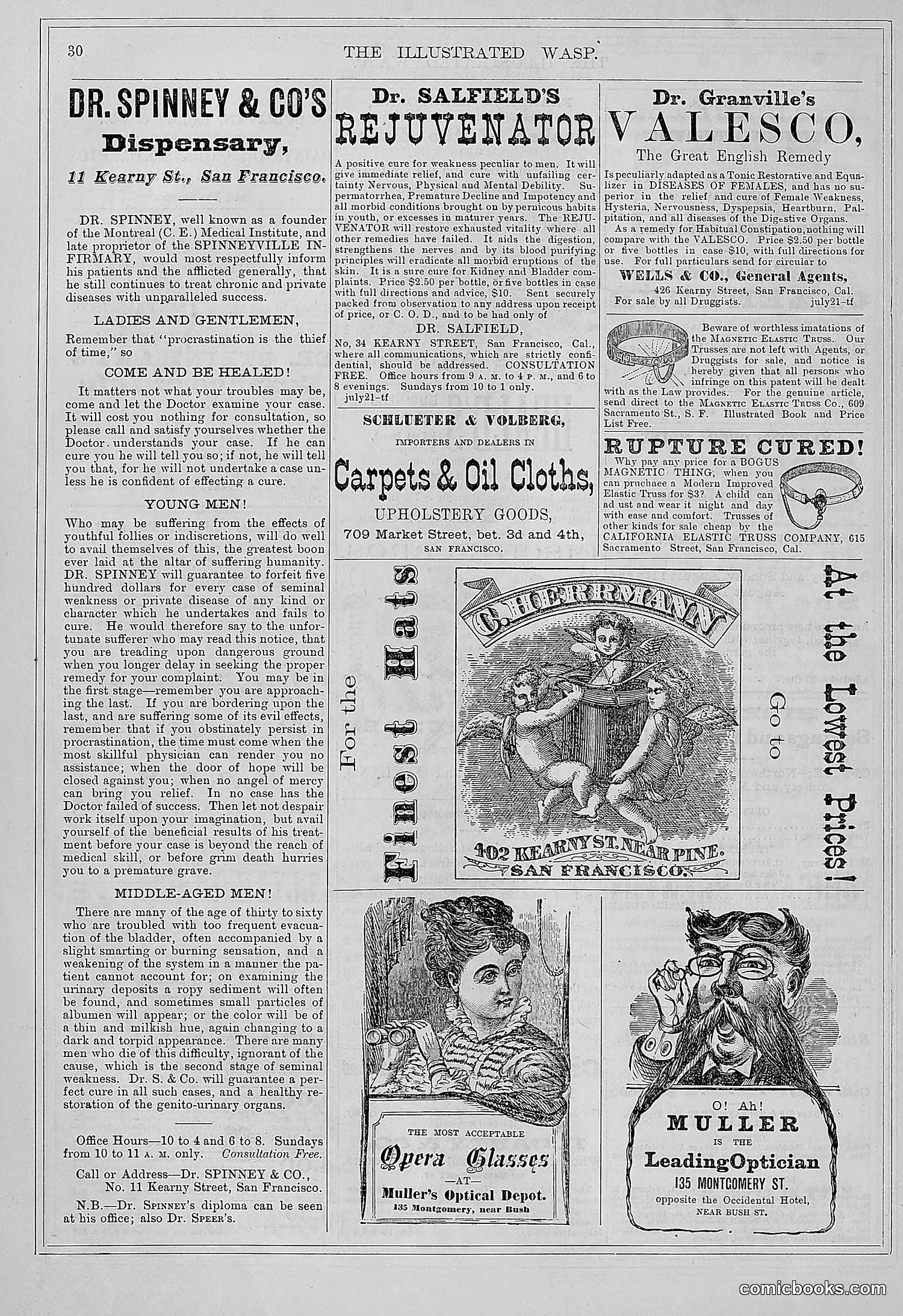 The Wasp — 1877 — page 37 of 372