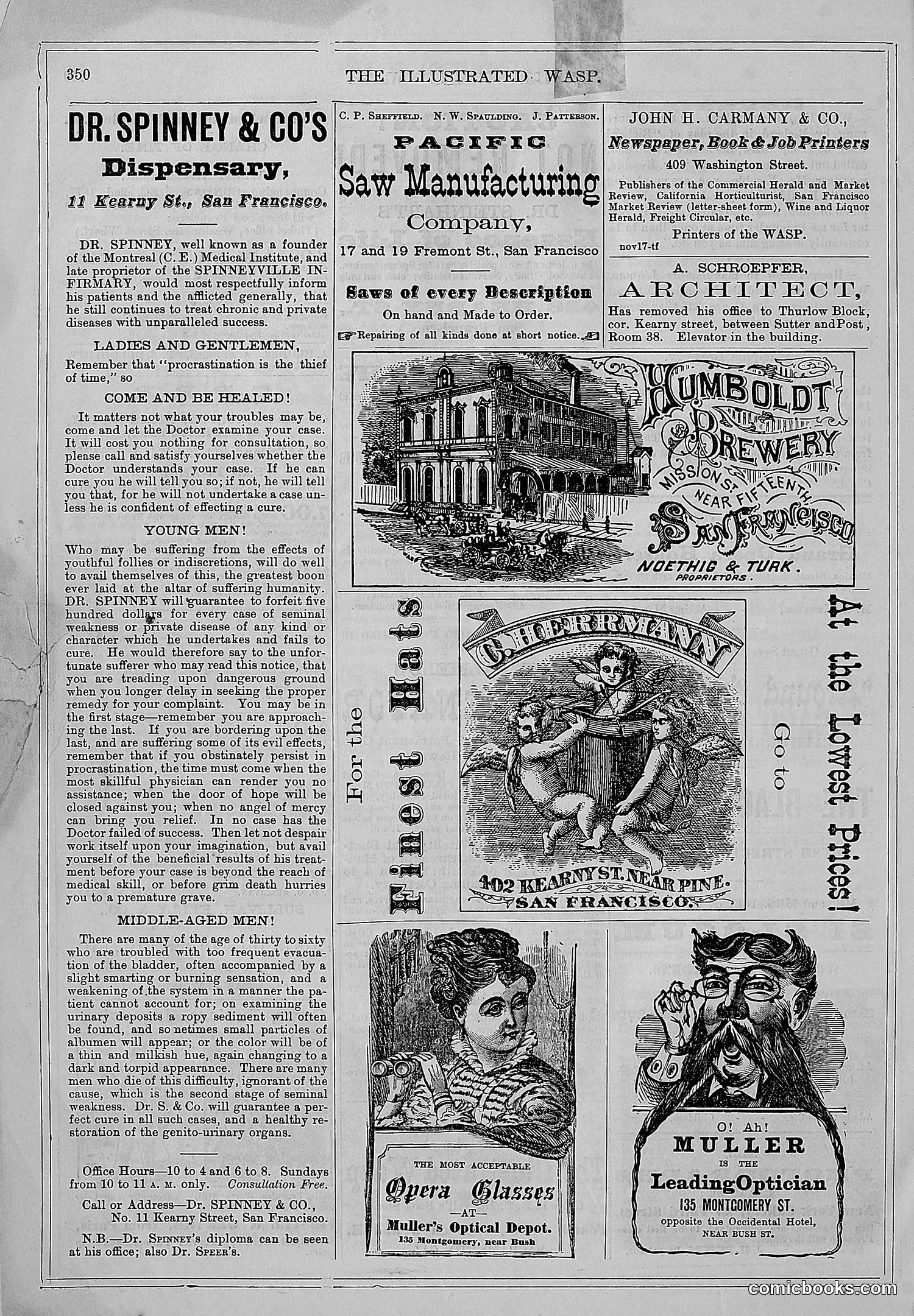 The Wasp — 1877 — page 363 of 372