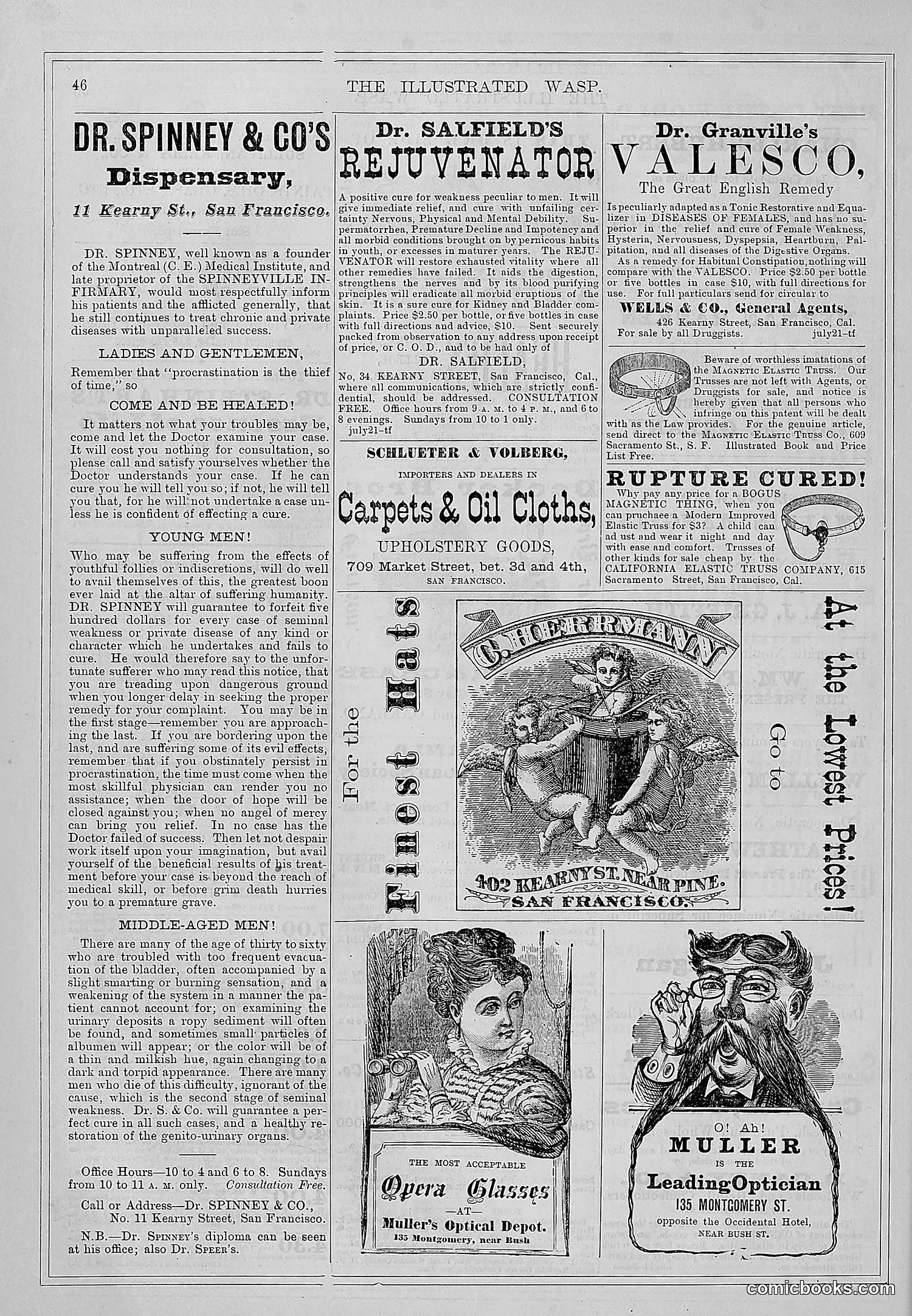 The Wasp — 1877 — page 53 of 372