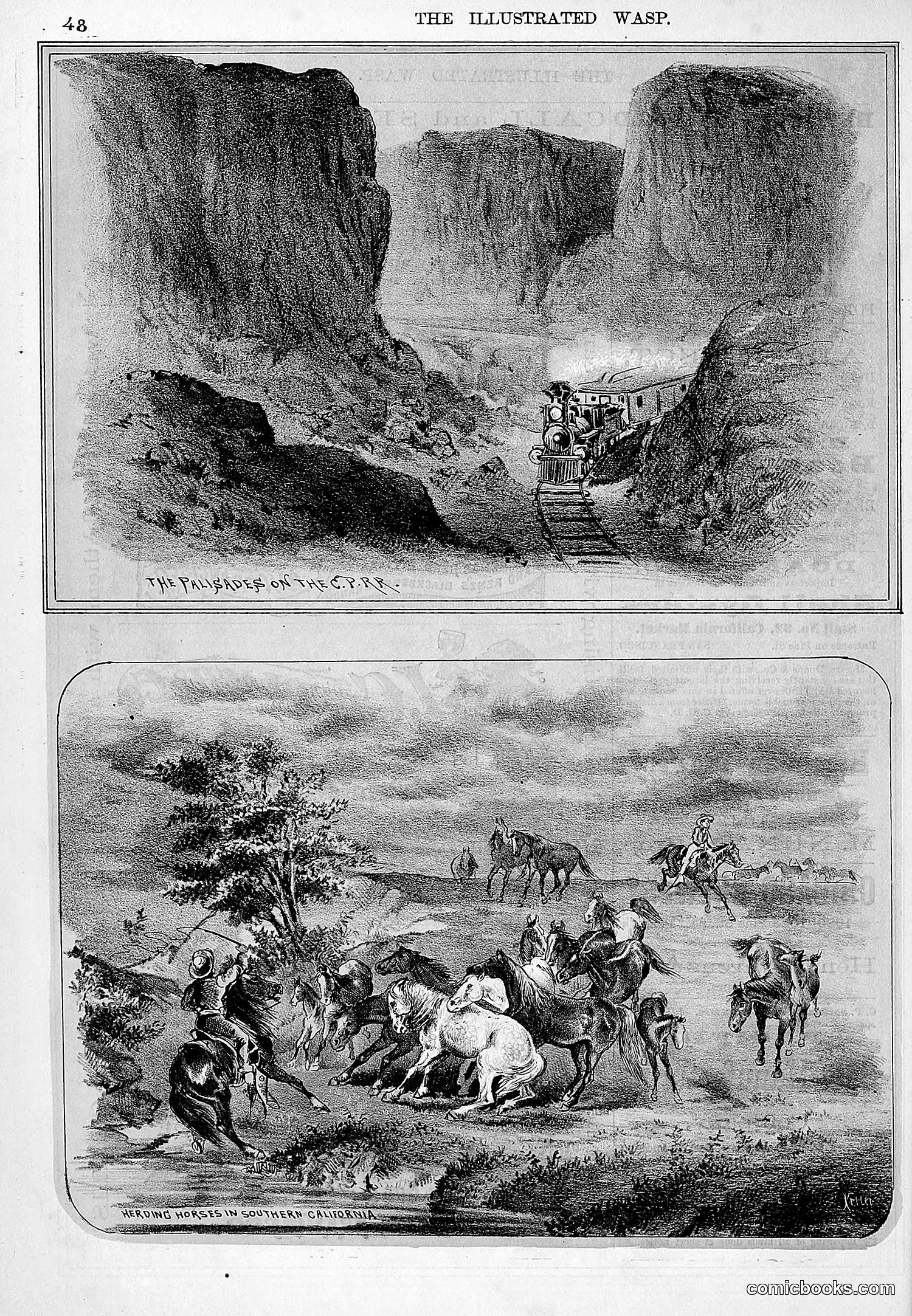 The Wasp — 1877 — page 55 of 372