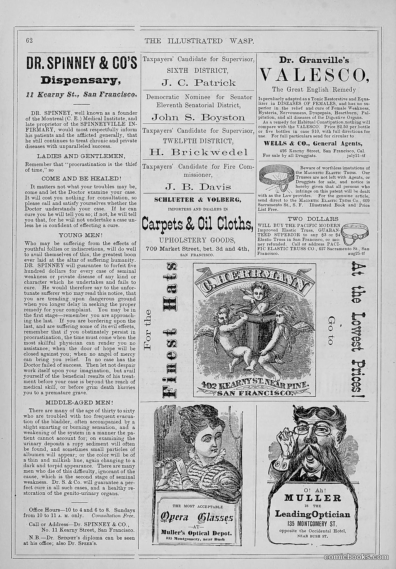 The Wasp — 1877 — page 69 of 372