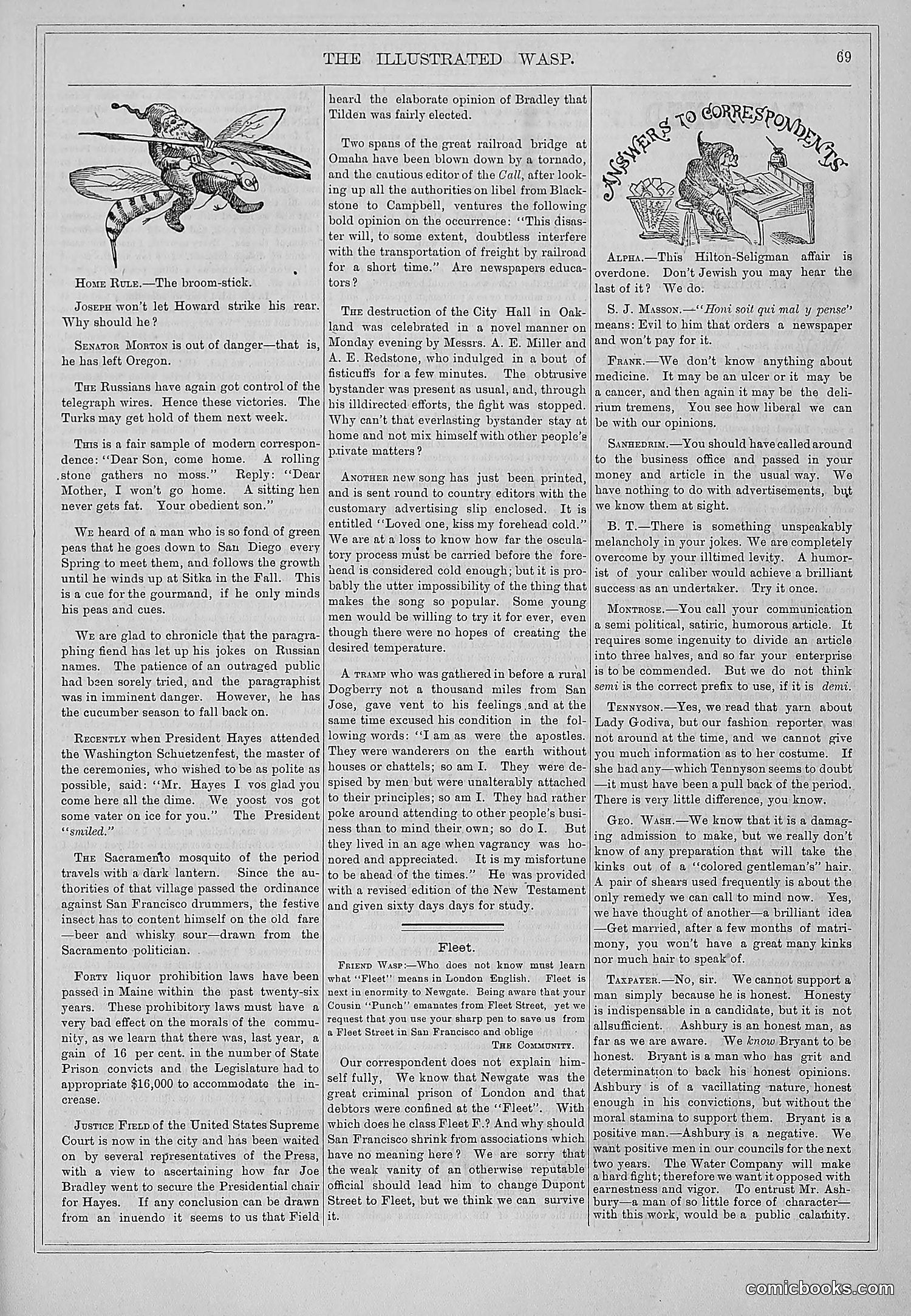 The Wasp — 1877 — page 76 of 372