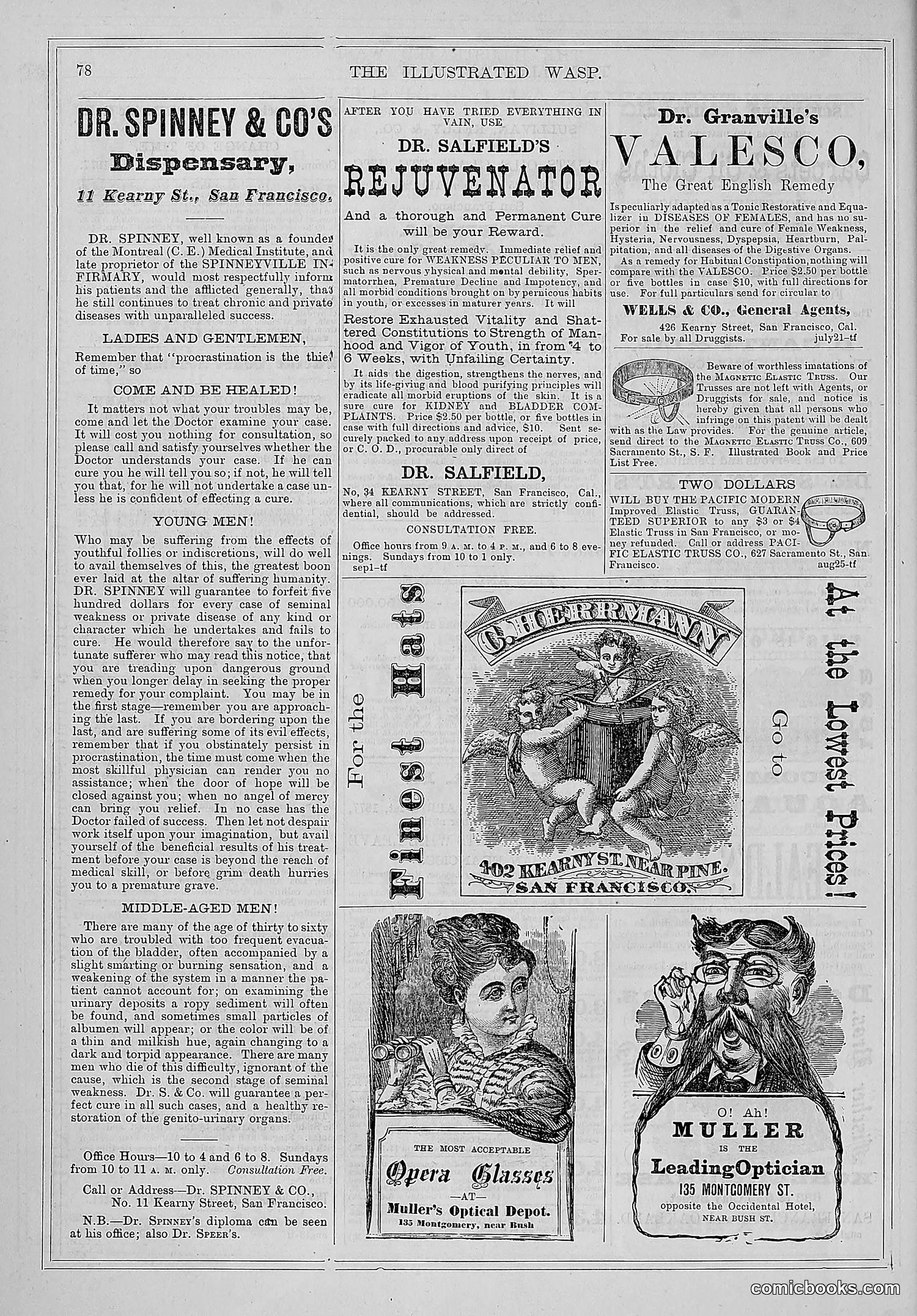 The Wasp — 1877 — page 85 of 372