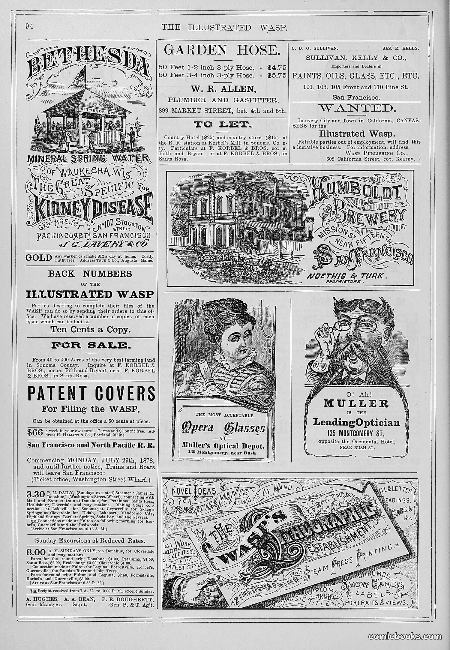 The Wasp — 1878 — page 101 of 364