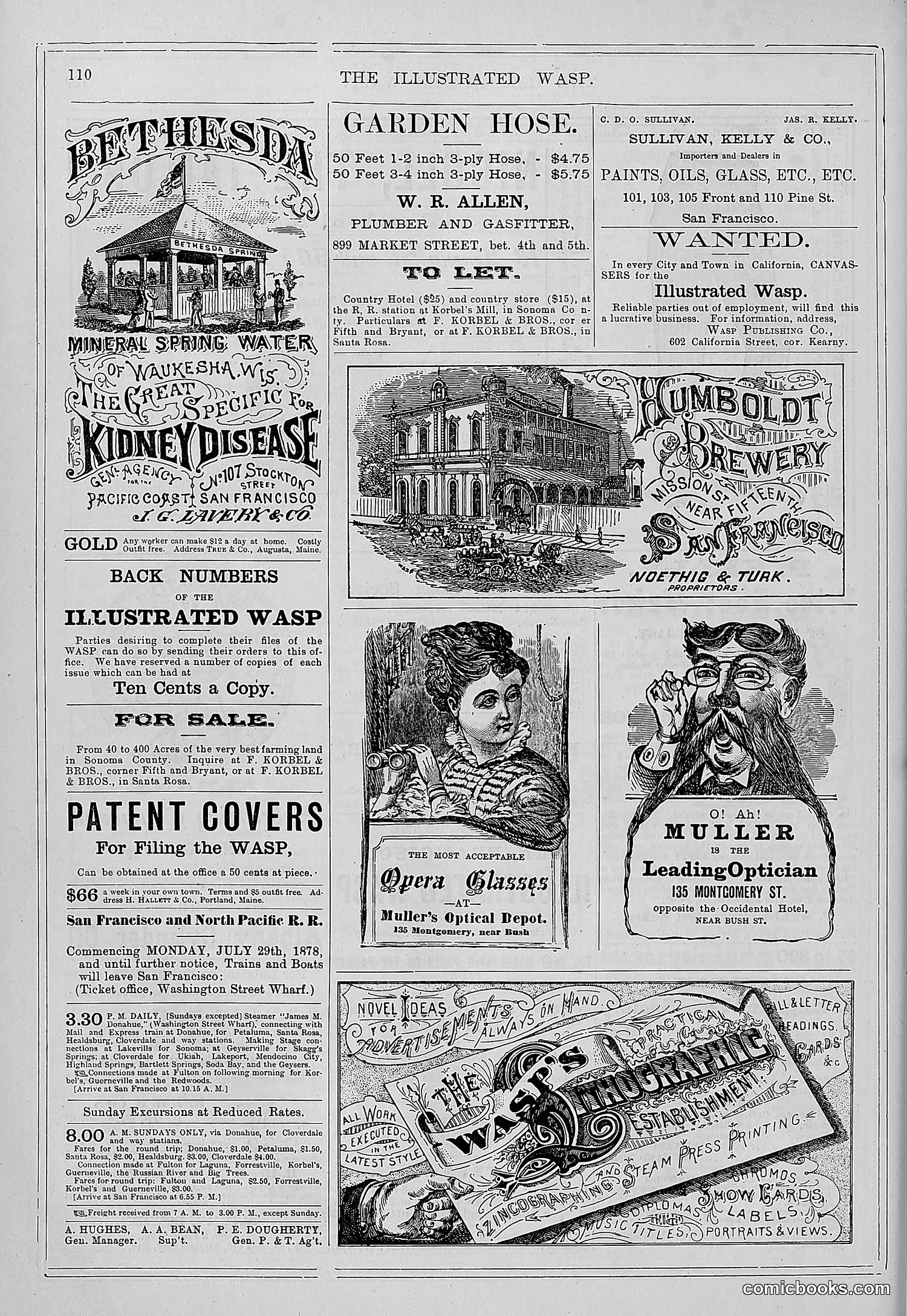 The Wasp — 1878 — page 117 of 364