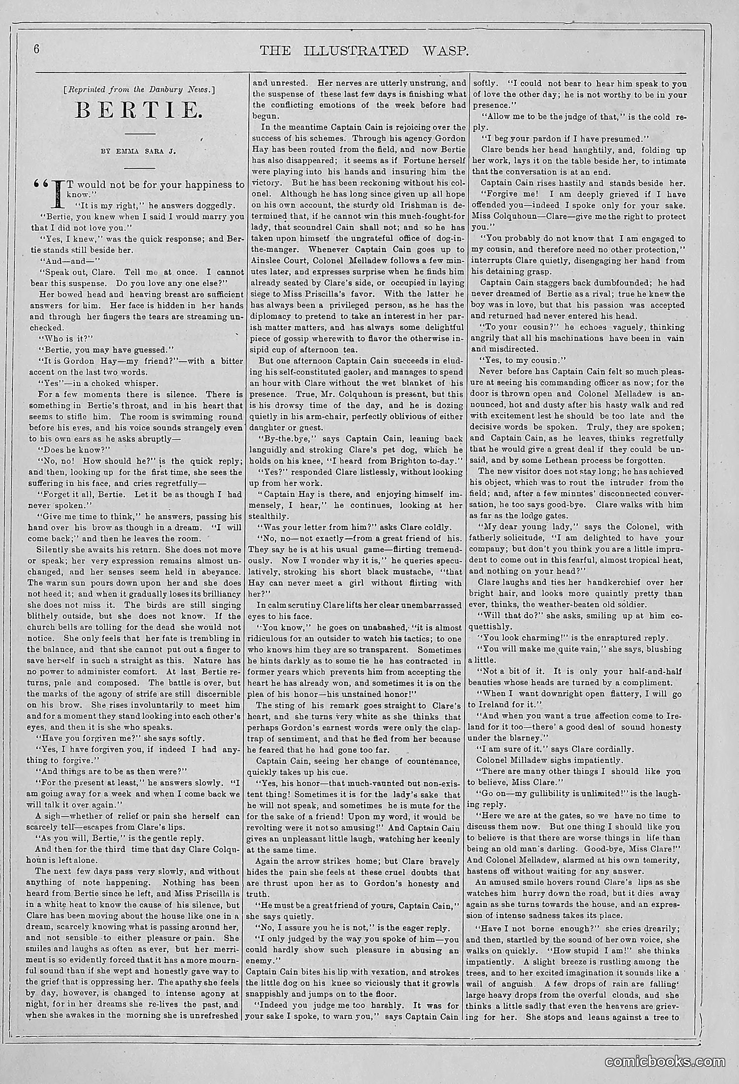 The Wasp — 1878 — page 13 of 364