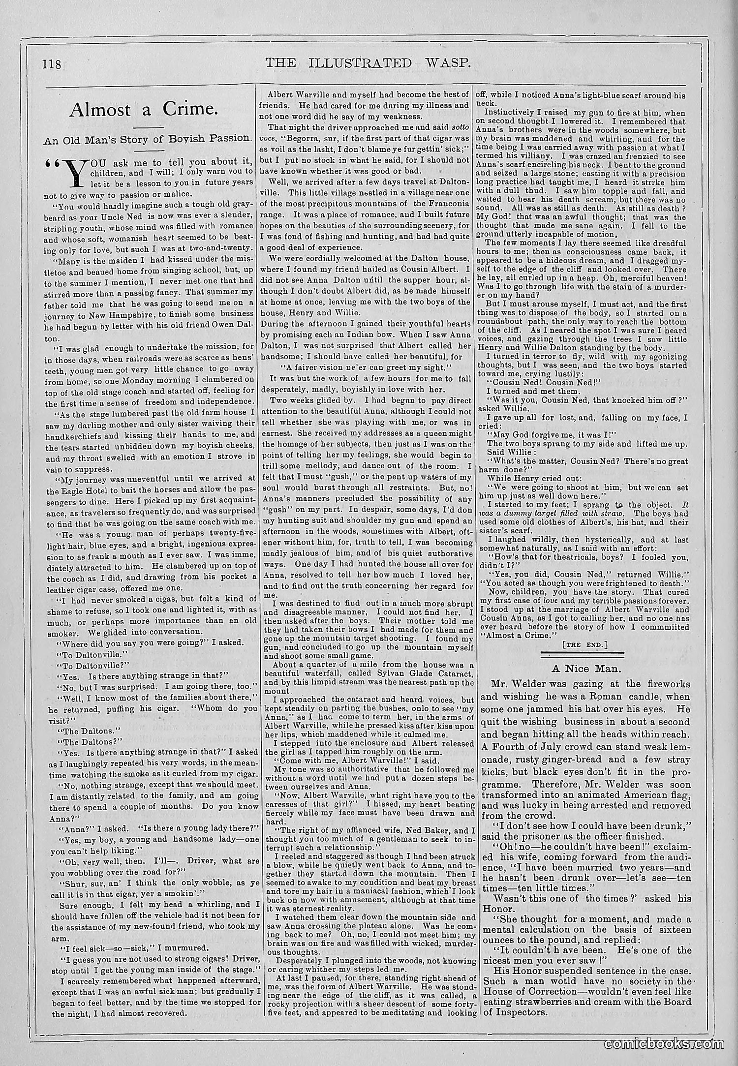 The Wasp — 1878 — page 125 of 364