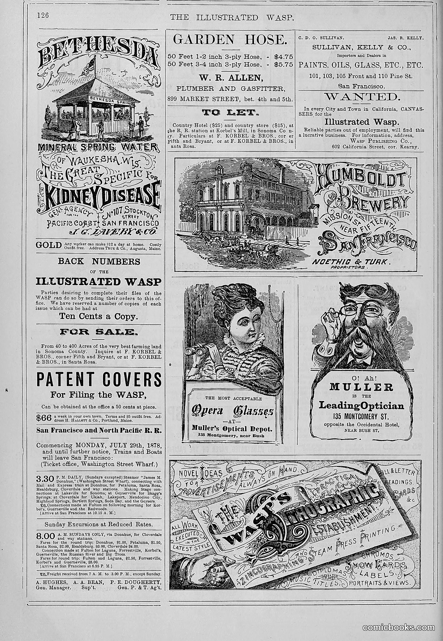 The Wasp — 1878 — page 133 of 364