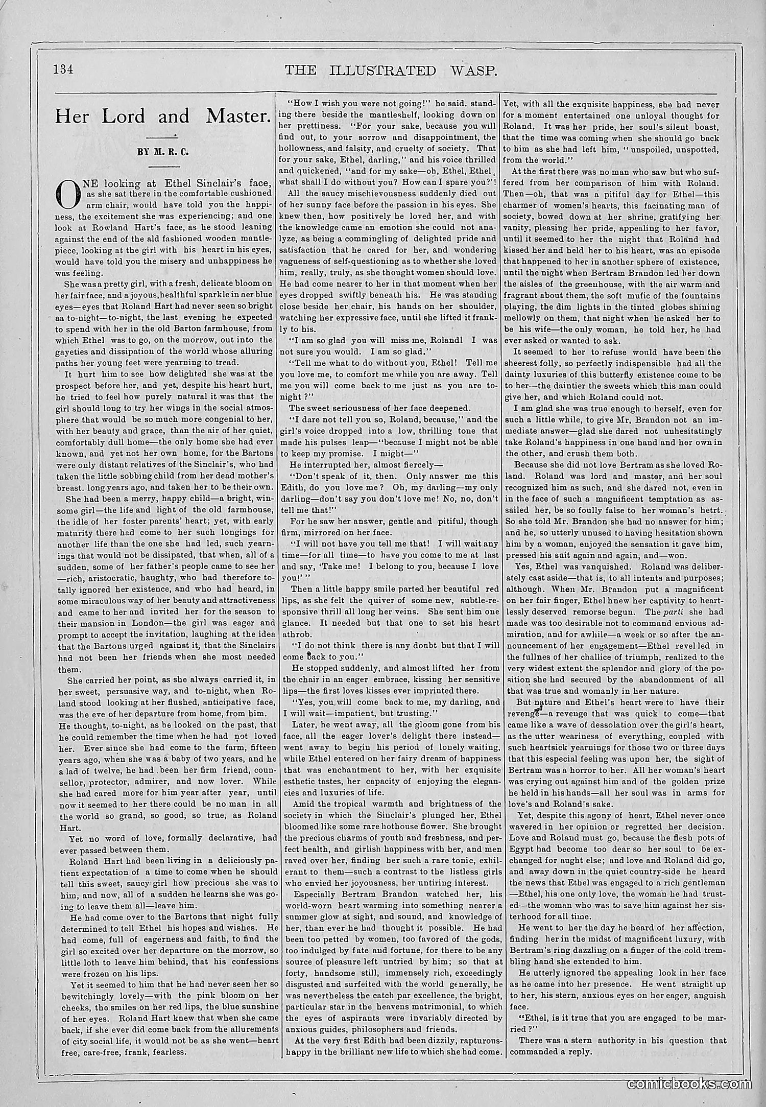 The Wasp — 1878 — page 141 of 364