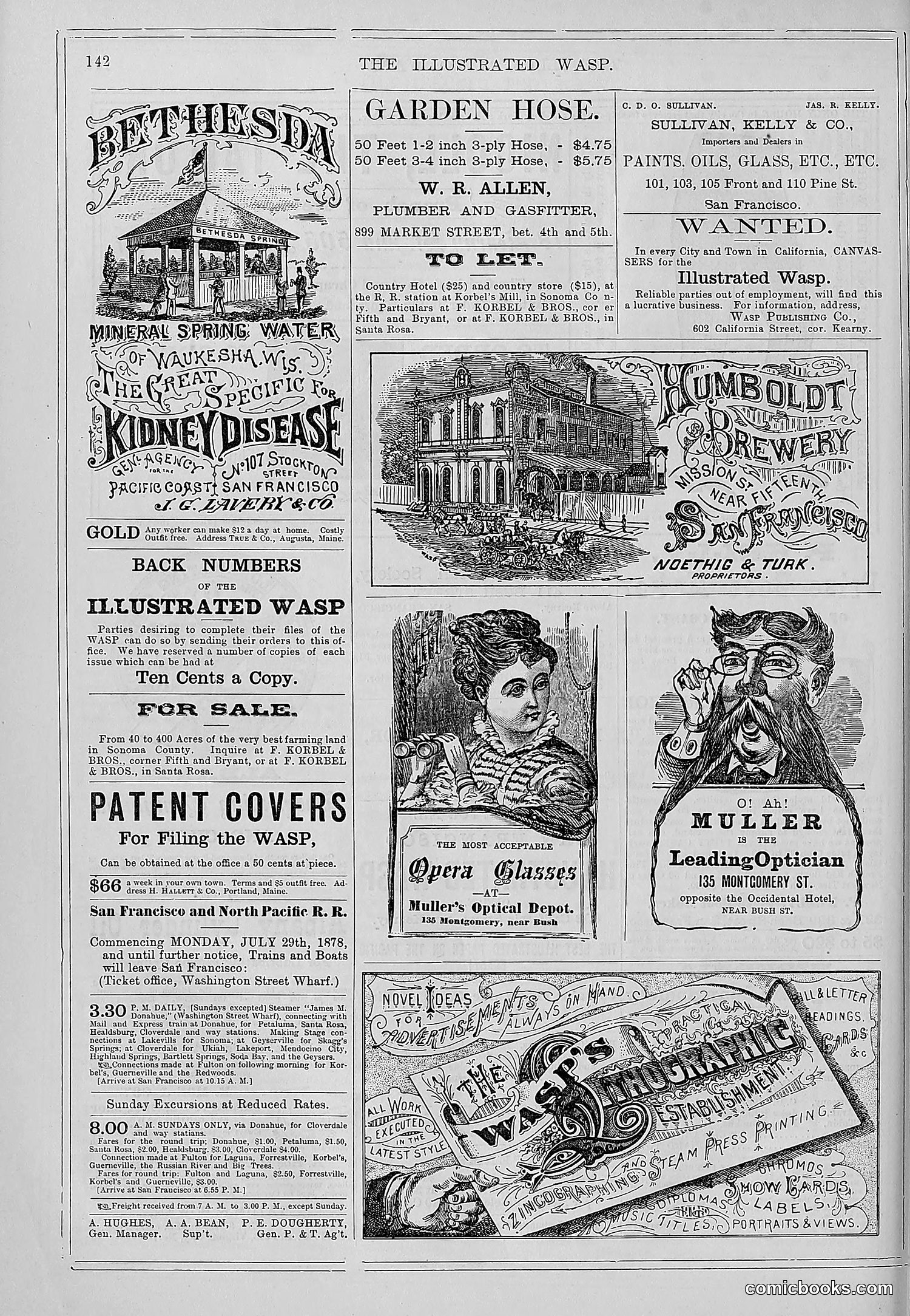 The Wasp — 1878 — page 149 of 364