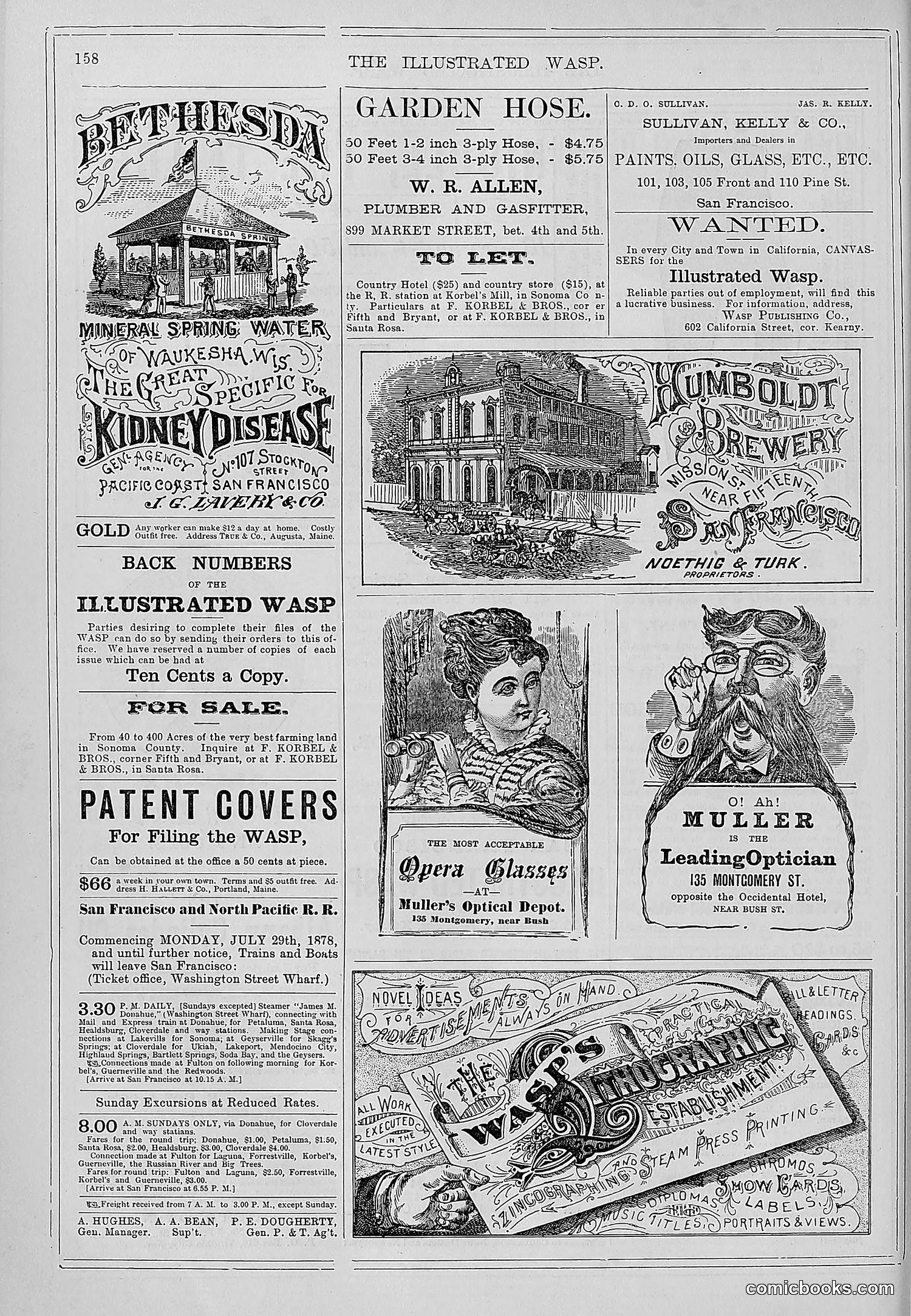 The Wasp — 1878 — page 165 of 364