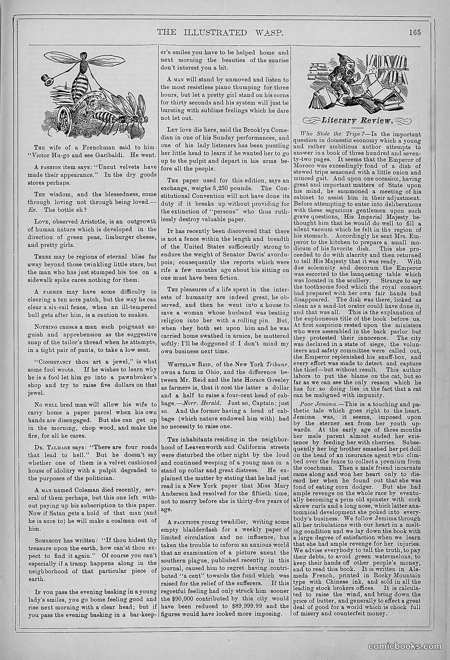 The Wasp — 1878 — page 172 of 364