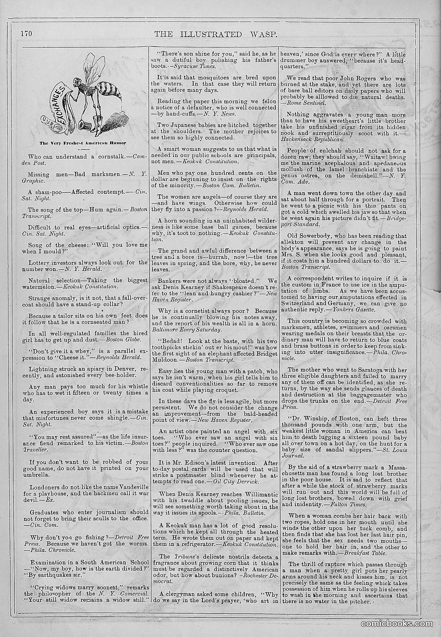 The Wasp — 1878 — page 177 of 364
