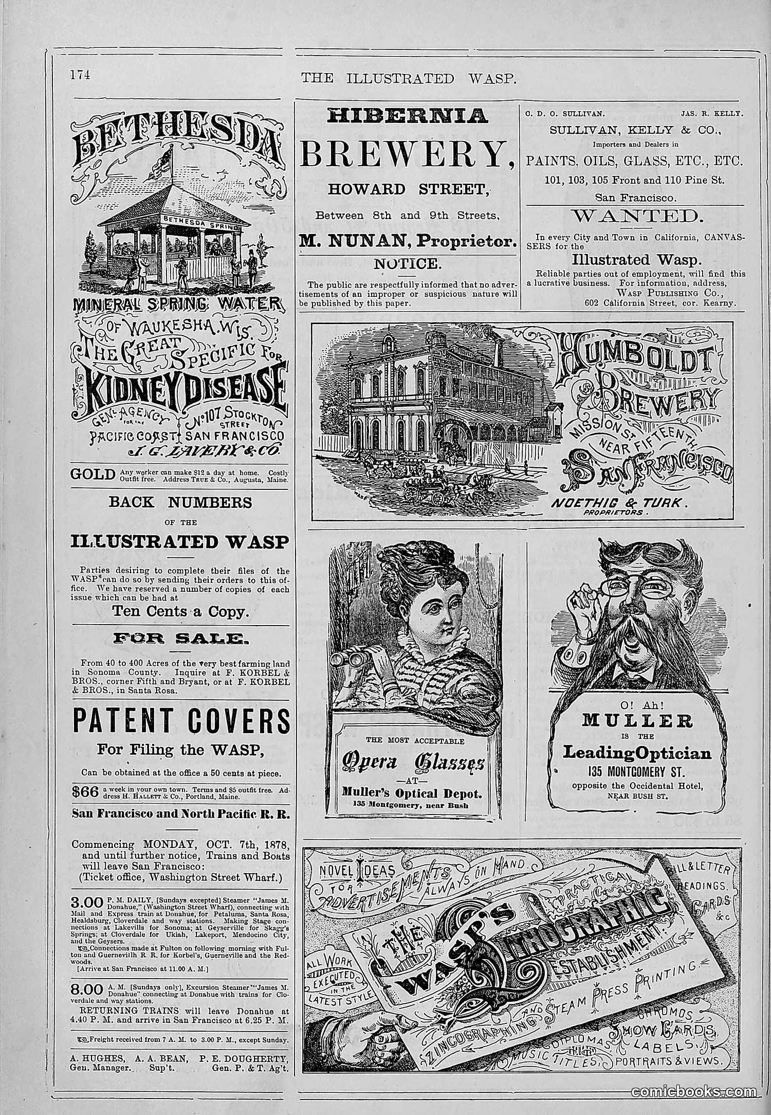 The Wasp — 1878 — page 181 of 364