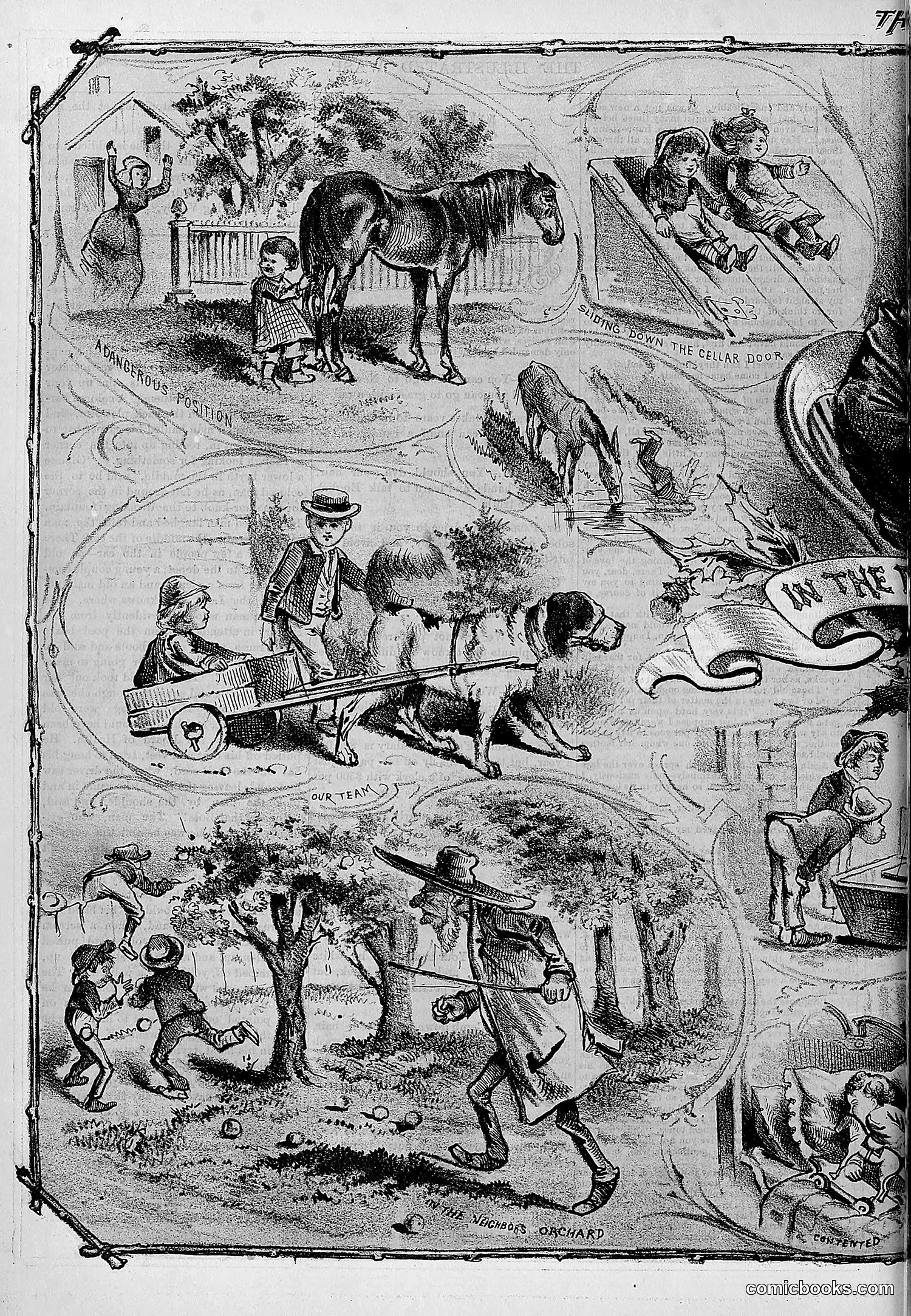 The Wasp — 1878 — page 191 of 364