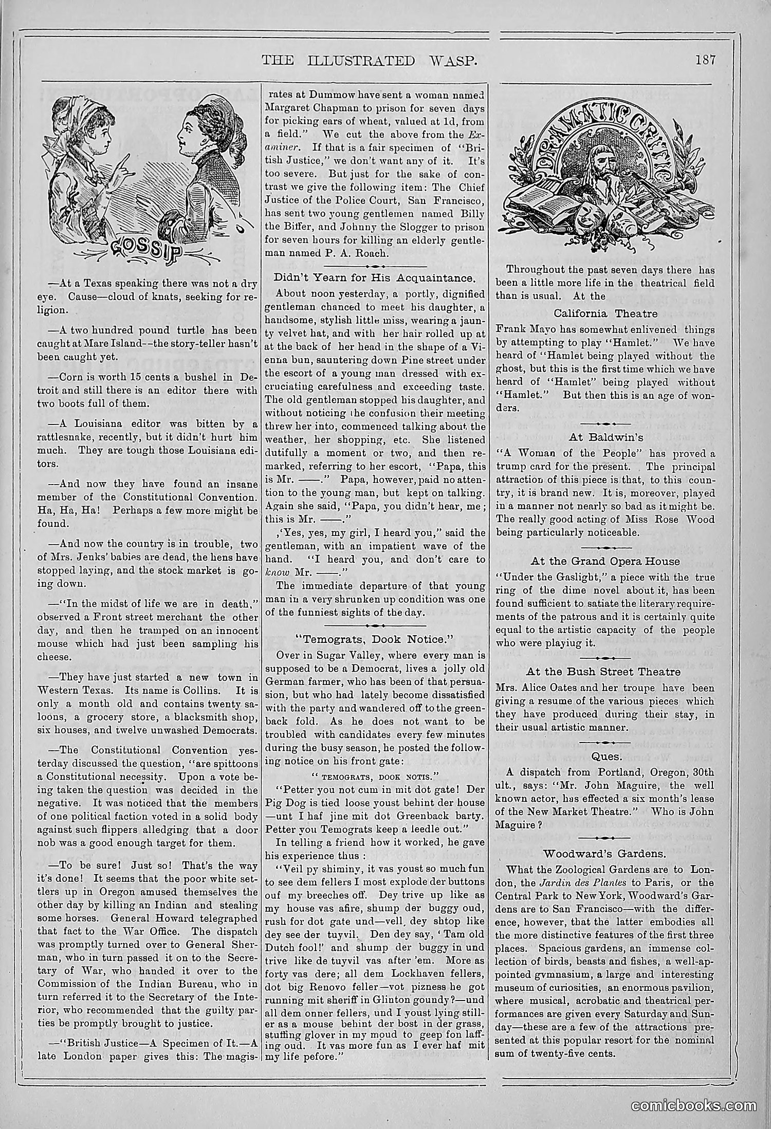 The Wasp — 1878 — page 194 of 364